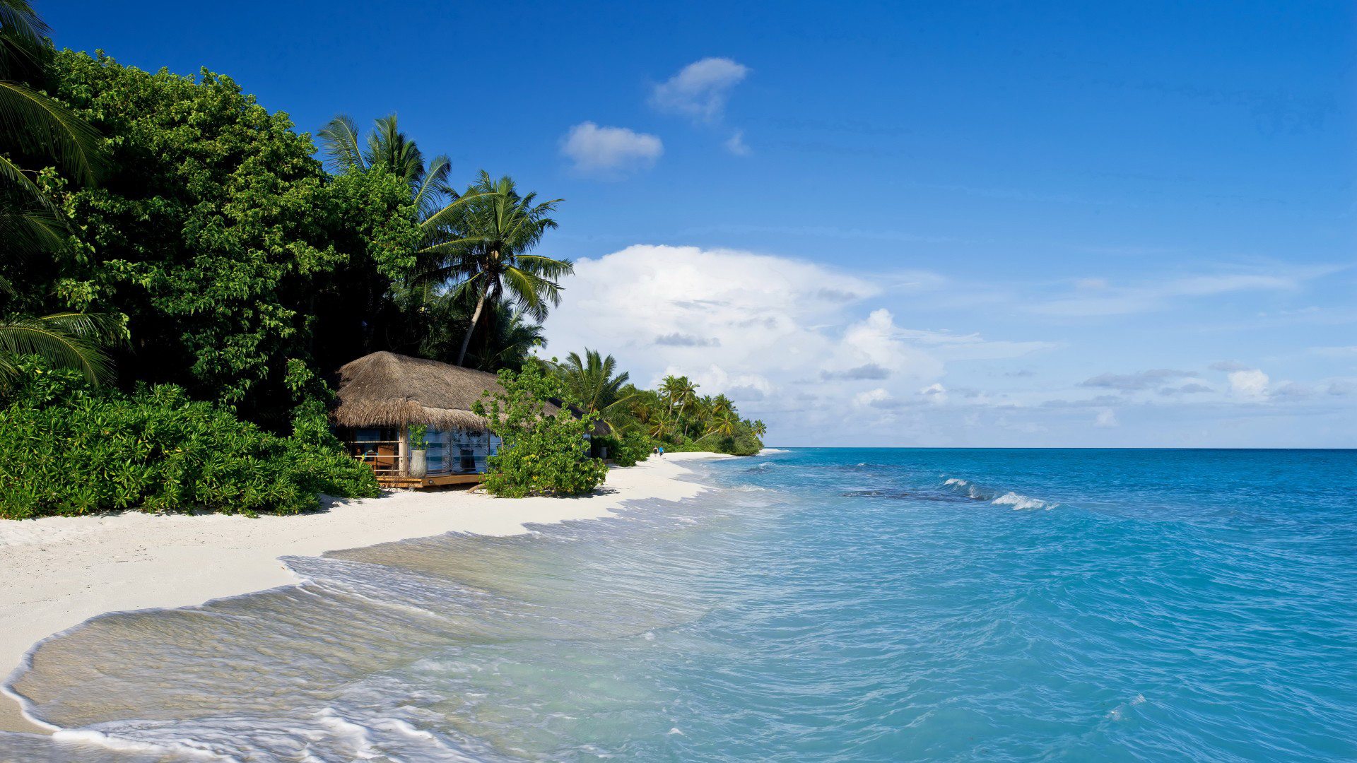 Maldive, Spiaggia, Vegetazione tropicale, Mare, 16:9 Full HD, wallpaper widescreen