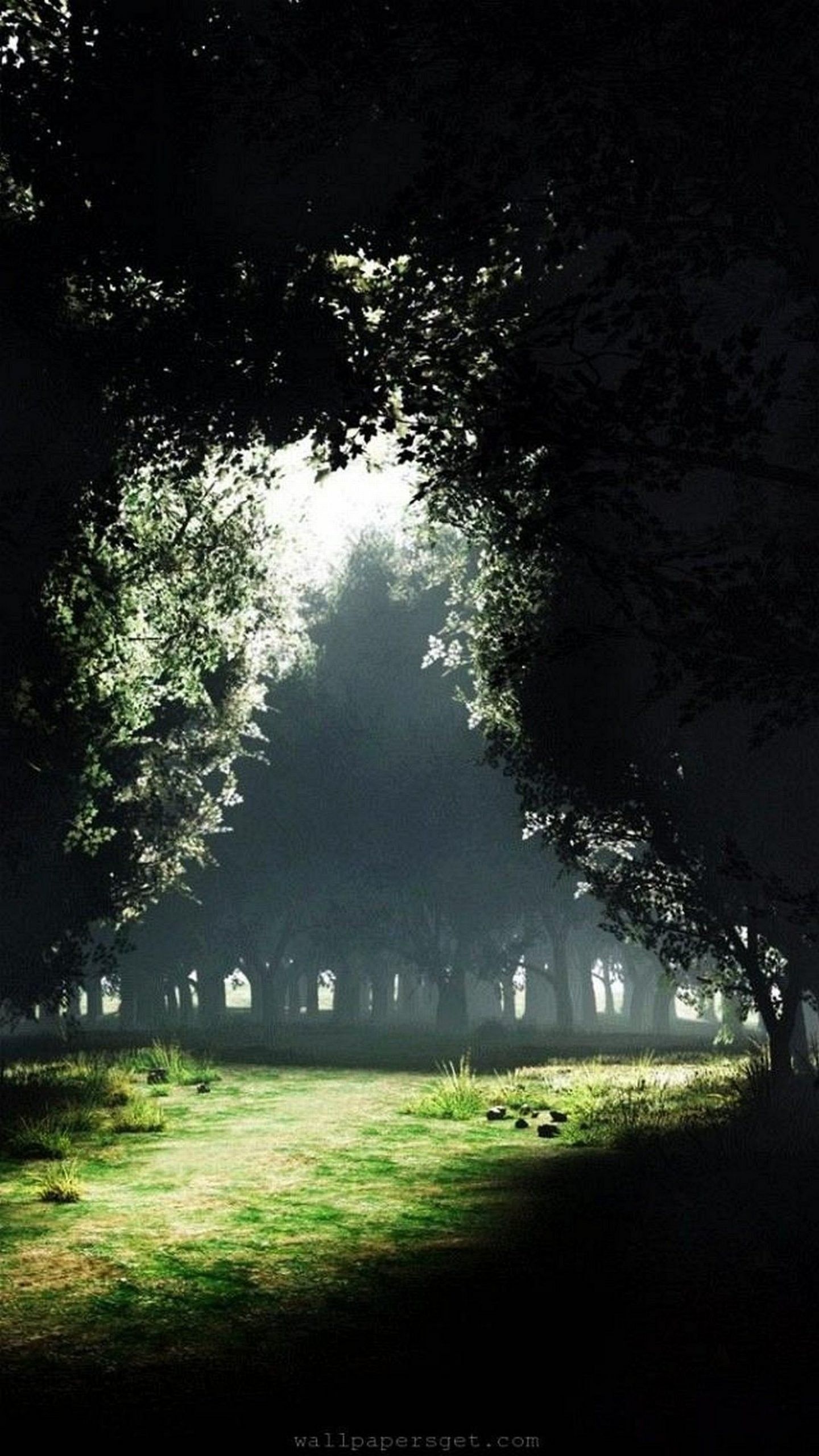 Foresta, Sentiero, Luce, Alberi, Nebbia, sfondo iPhone 7 QHD+