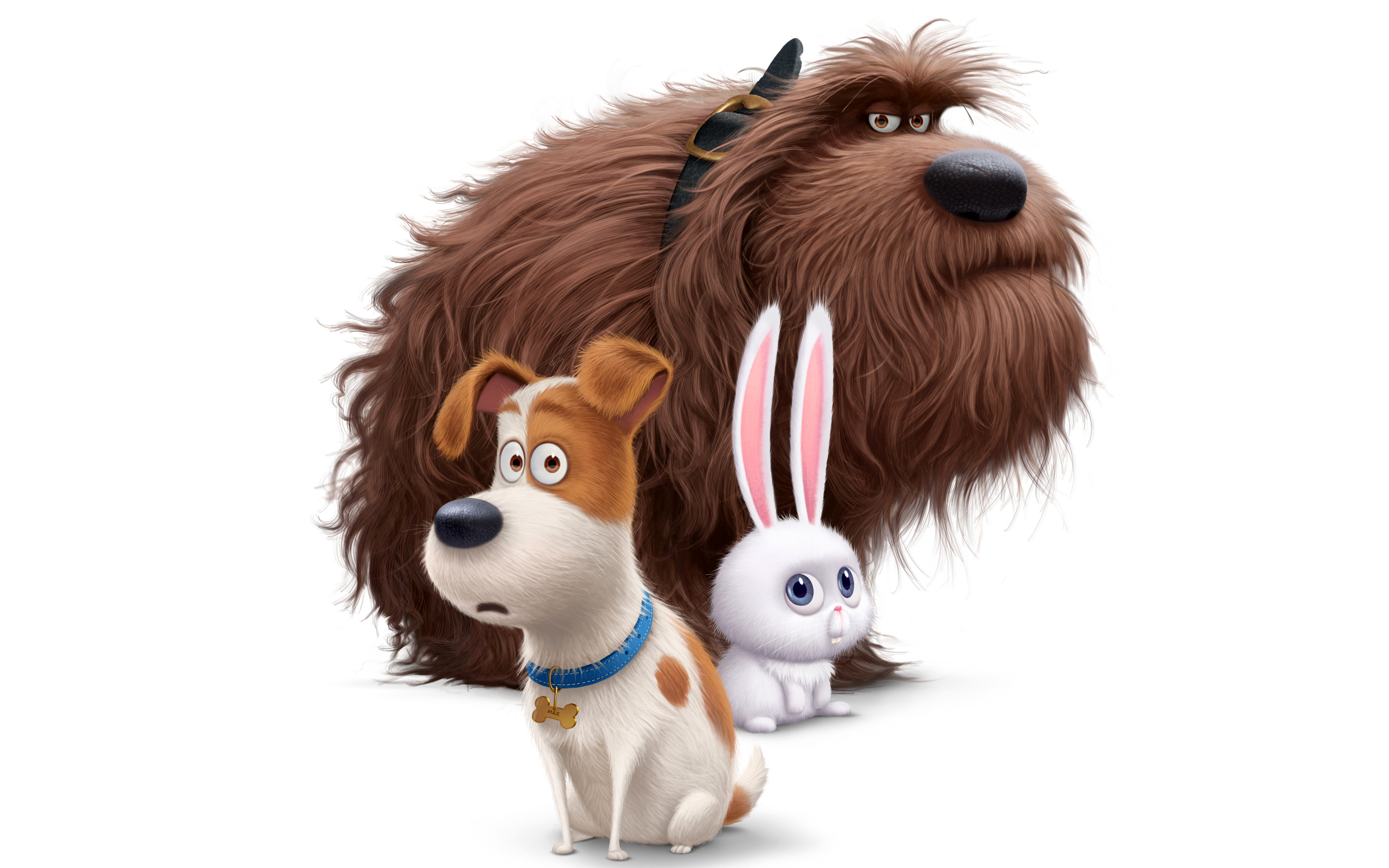 Pets - Vita da animali, Max, Duke, Nevosetto, Illumination, 2K, sfondo per portatile
