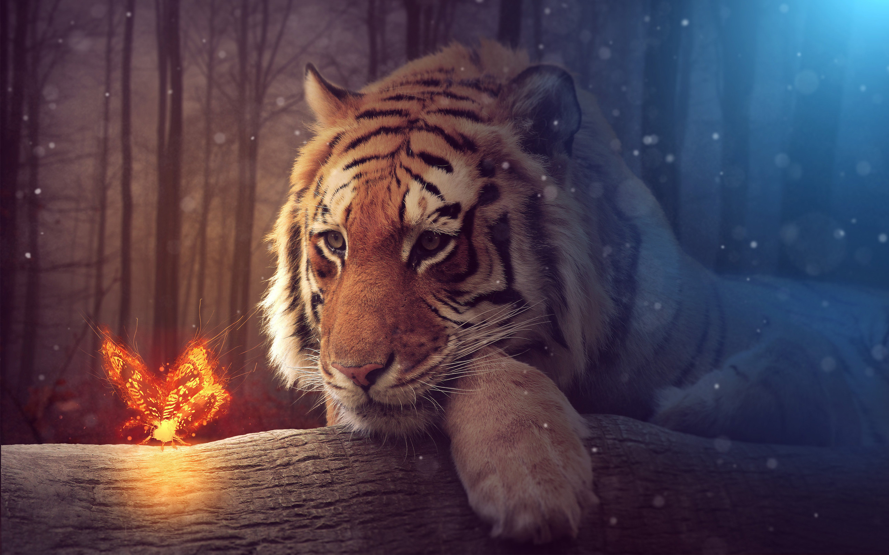 Tigre, Farfalla di fuoco, Bosco, Arte fantasy, 2880x1800, sfondo MacBook Pro