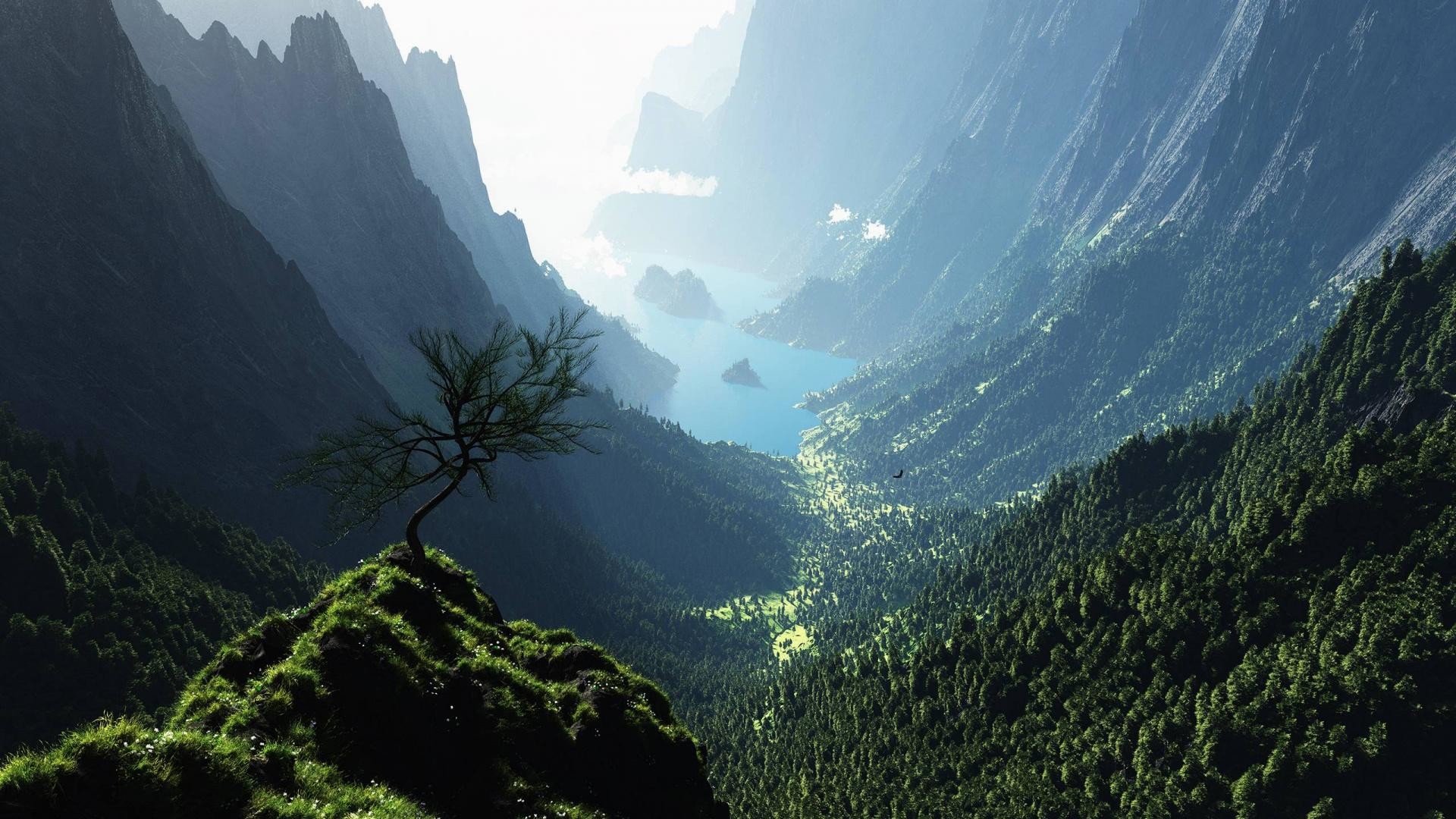 Valle, Montagne, Albero solitario, Foresta, Full HD, sfondo desktop