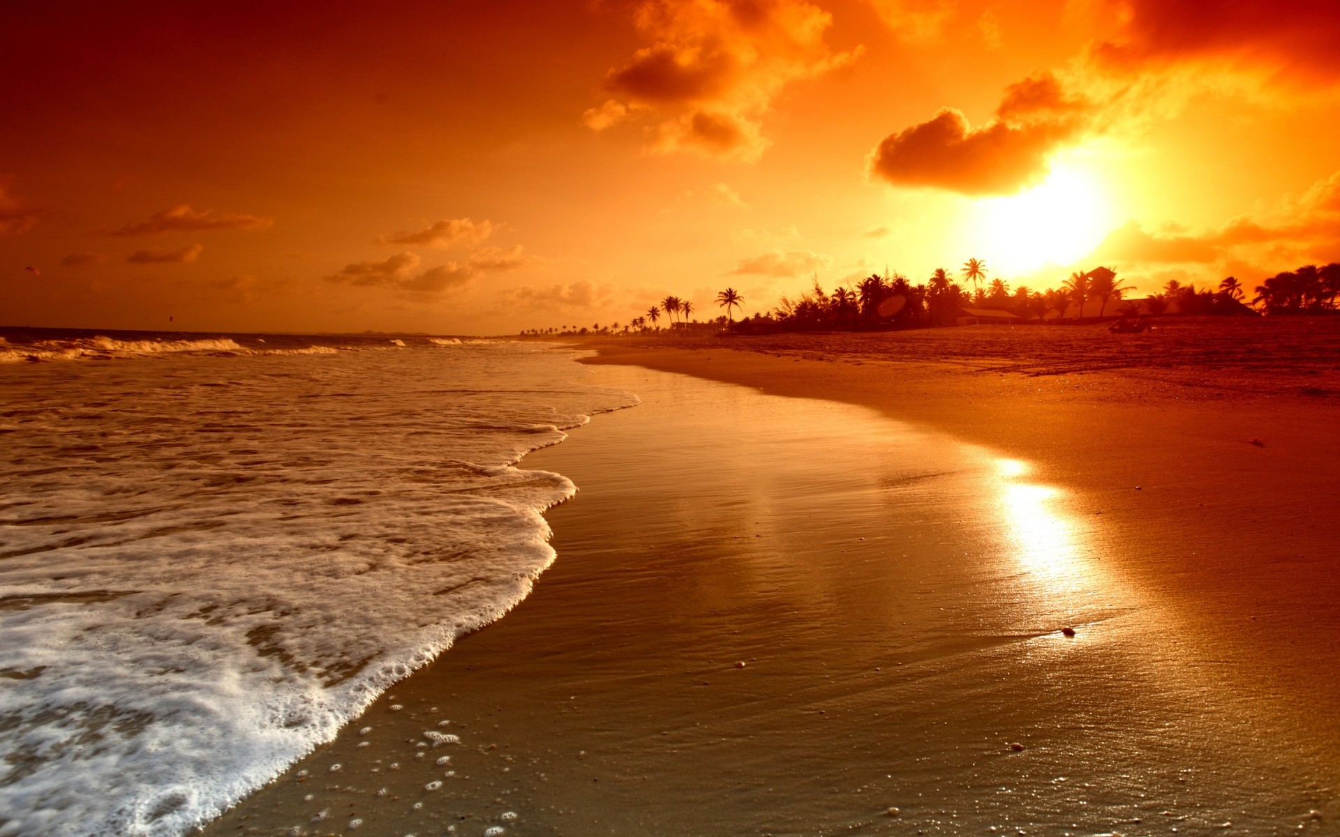 Spiaggia tropicale, Tramonto, Onde, Palme, Arancione, Full HD, wallpaper per portatile