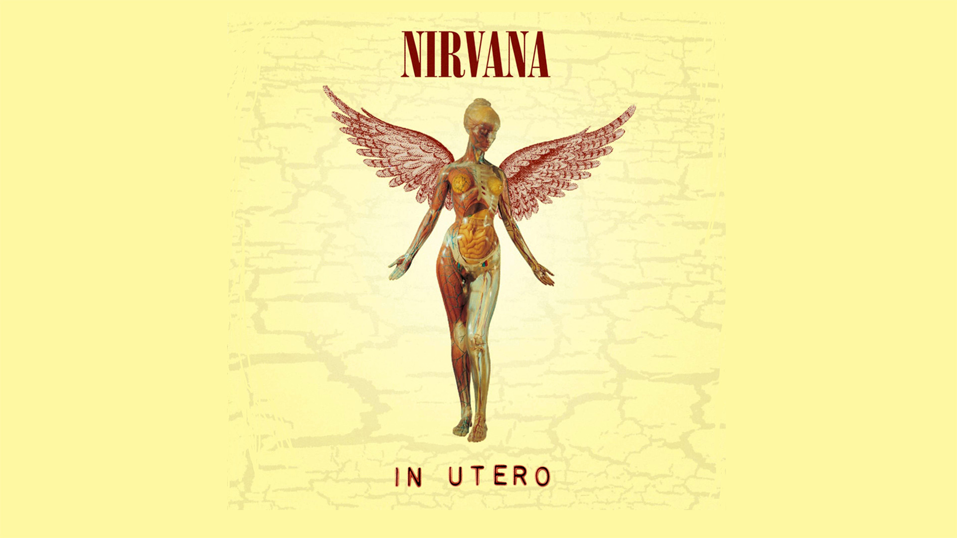 In Utero, Nirvana, Copertina album, Angelo anatomico, Full HD, sfondo desktop