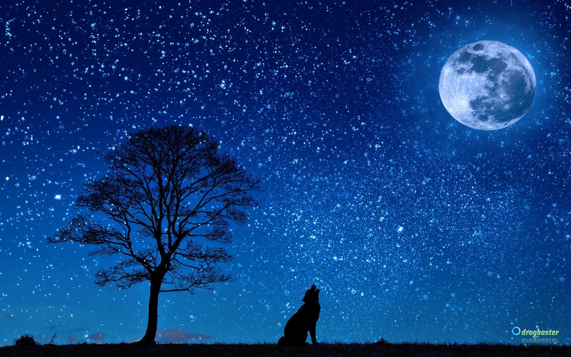 Lupo, Albero, Luna piena, Cielo stellato, Silhouette, Full HD, immagine di sfondo Windows Vista