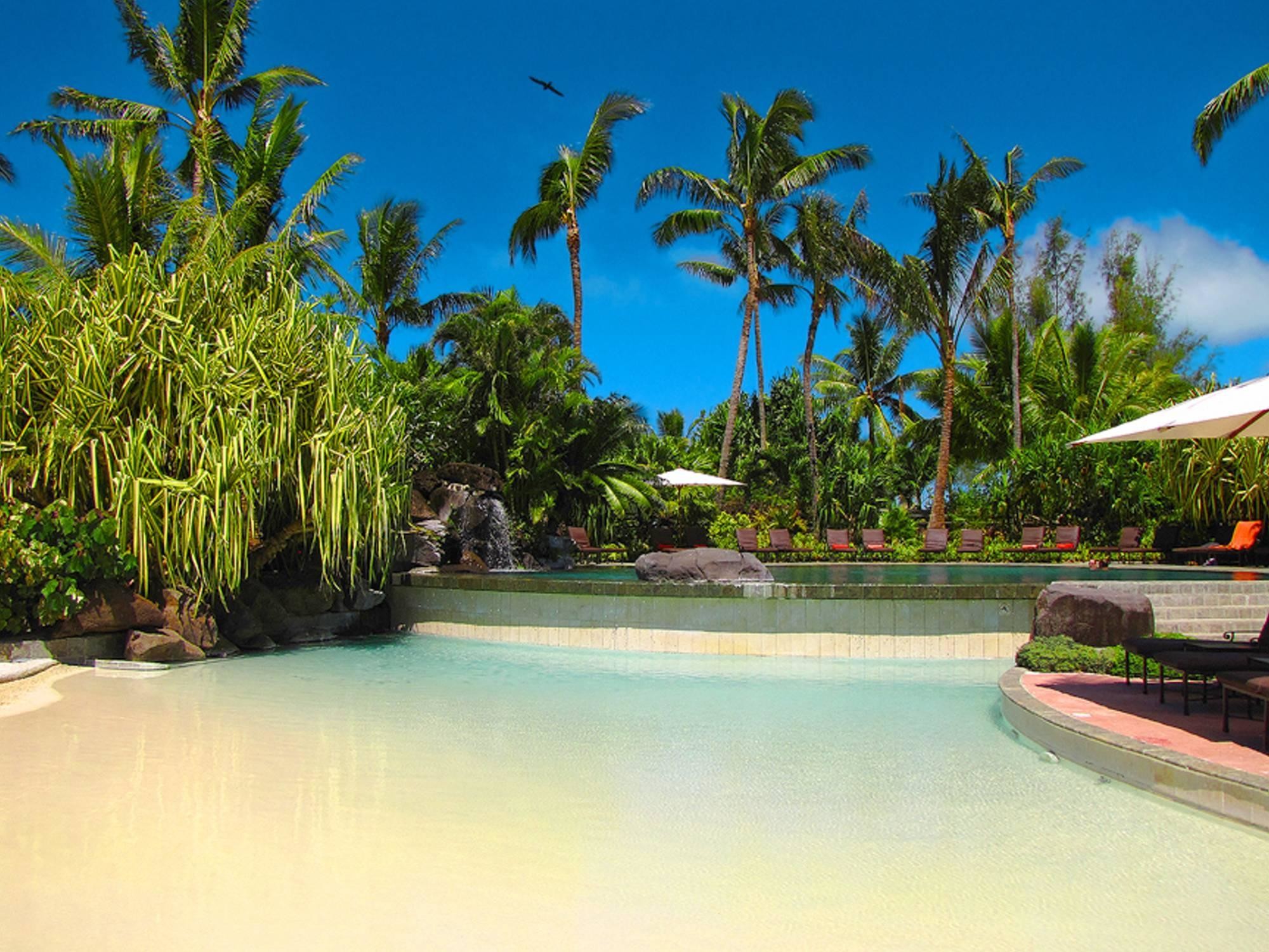 Bora Bora, Resort, Piscina, Palme, sfondo per iPad e tablet