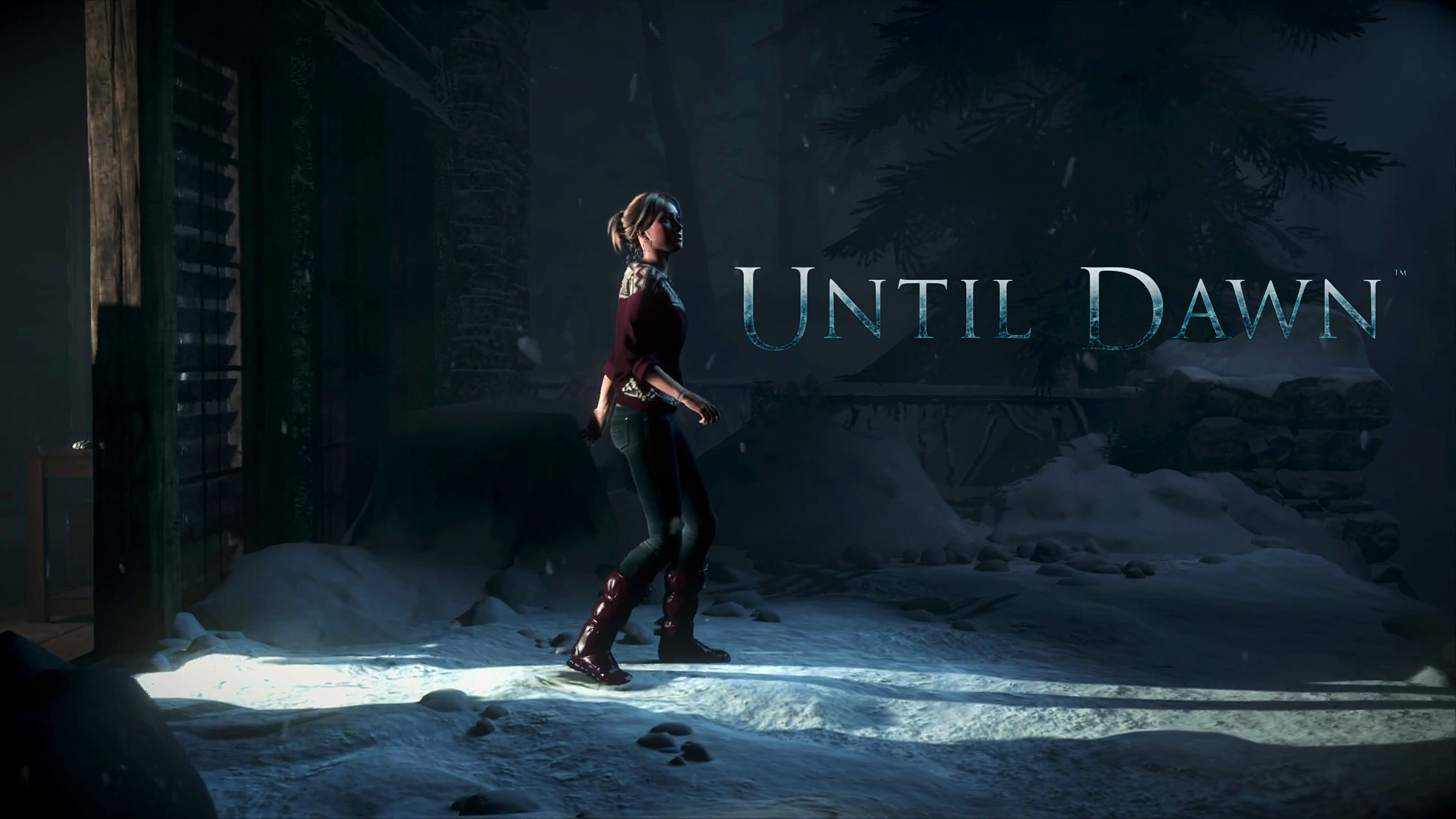 Until Dawn, Sam, Neve, Notte, Logo, 16:9 2K, sfondo widescreen