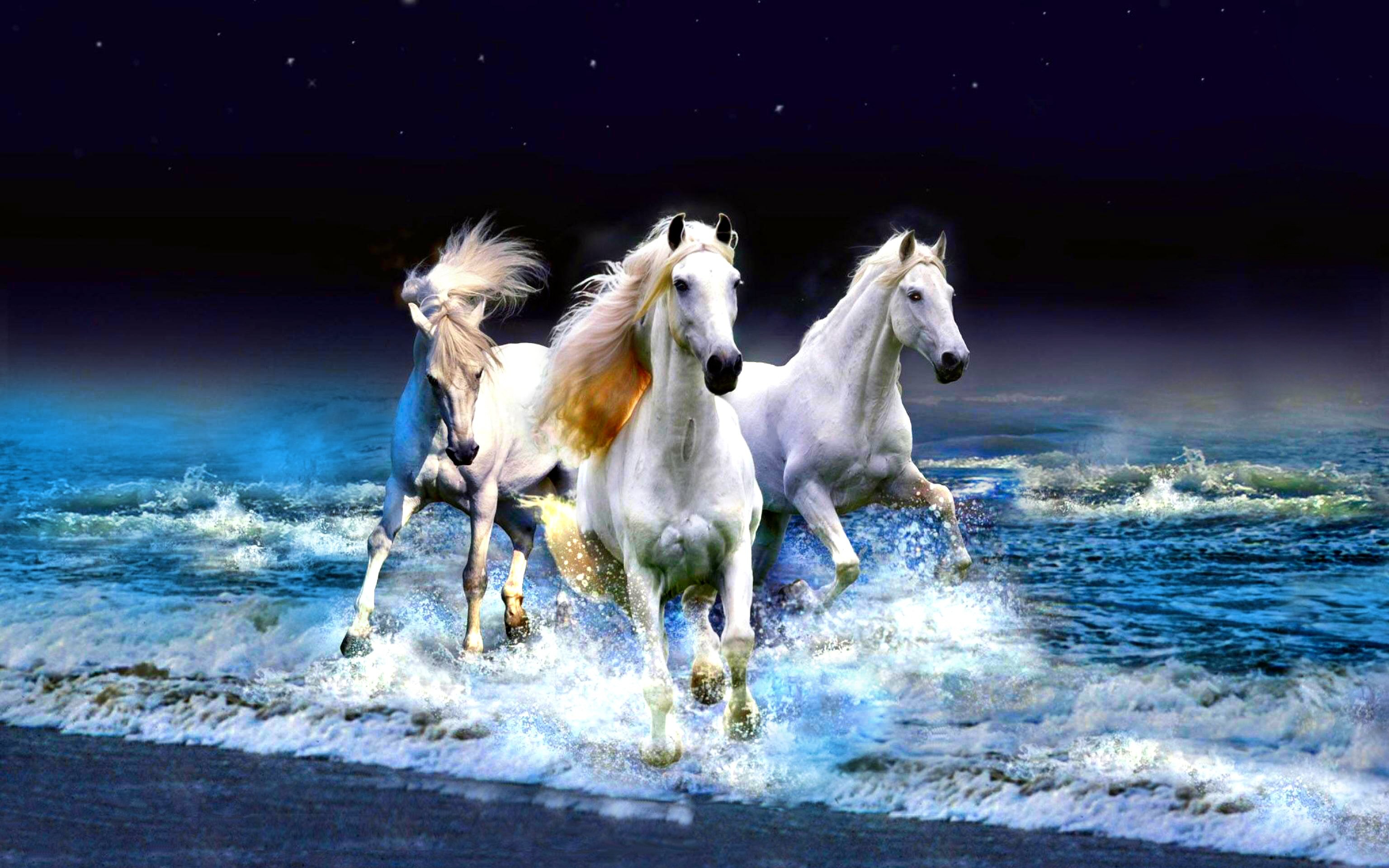 Cavalli bianchi, Onde, Mare, Notte, Arte digitale, 2K, sfondo per portatile