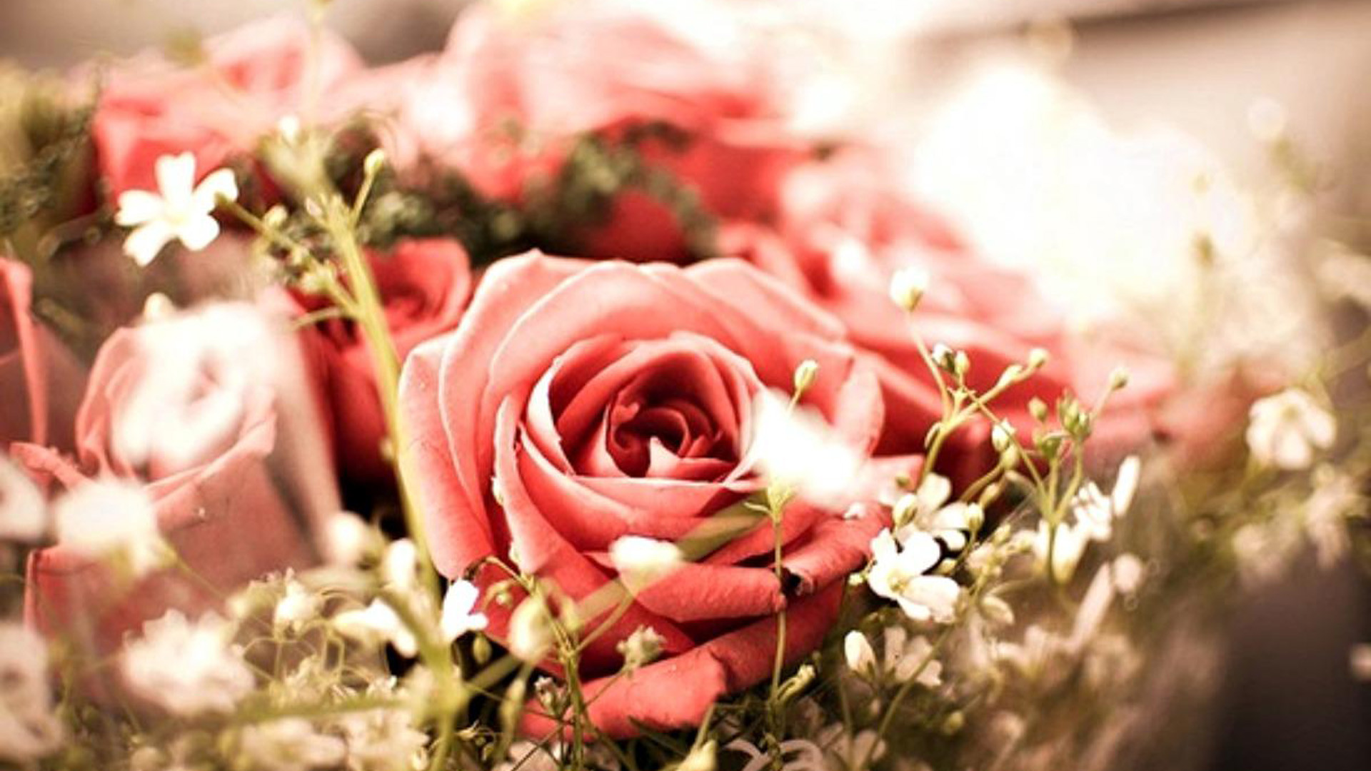 Rose rosa, Mazzo di fiori, Effetto vintage, Full HD, sfondo per portatile