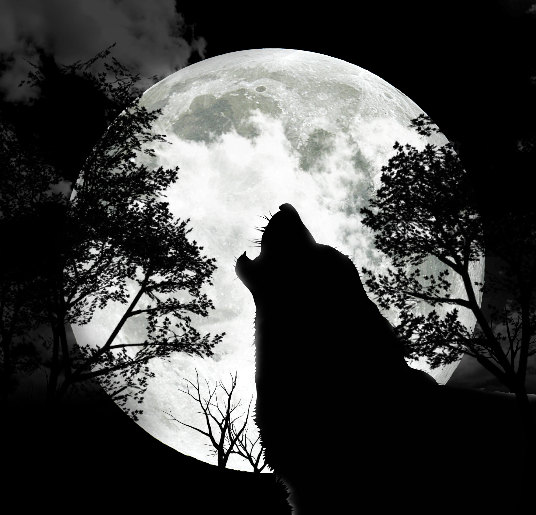 Lupo che ulula, Luna piena, Silhouette, Bianco e nero, Full HD, schermata di blocco iPad