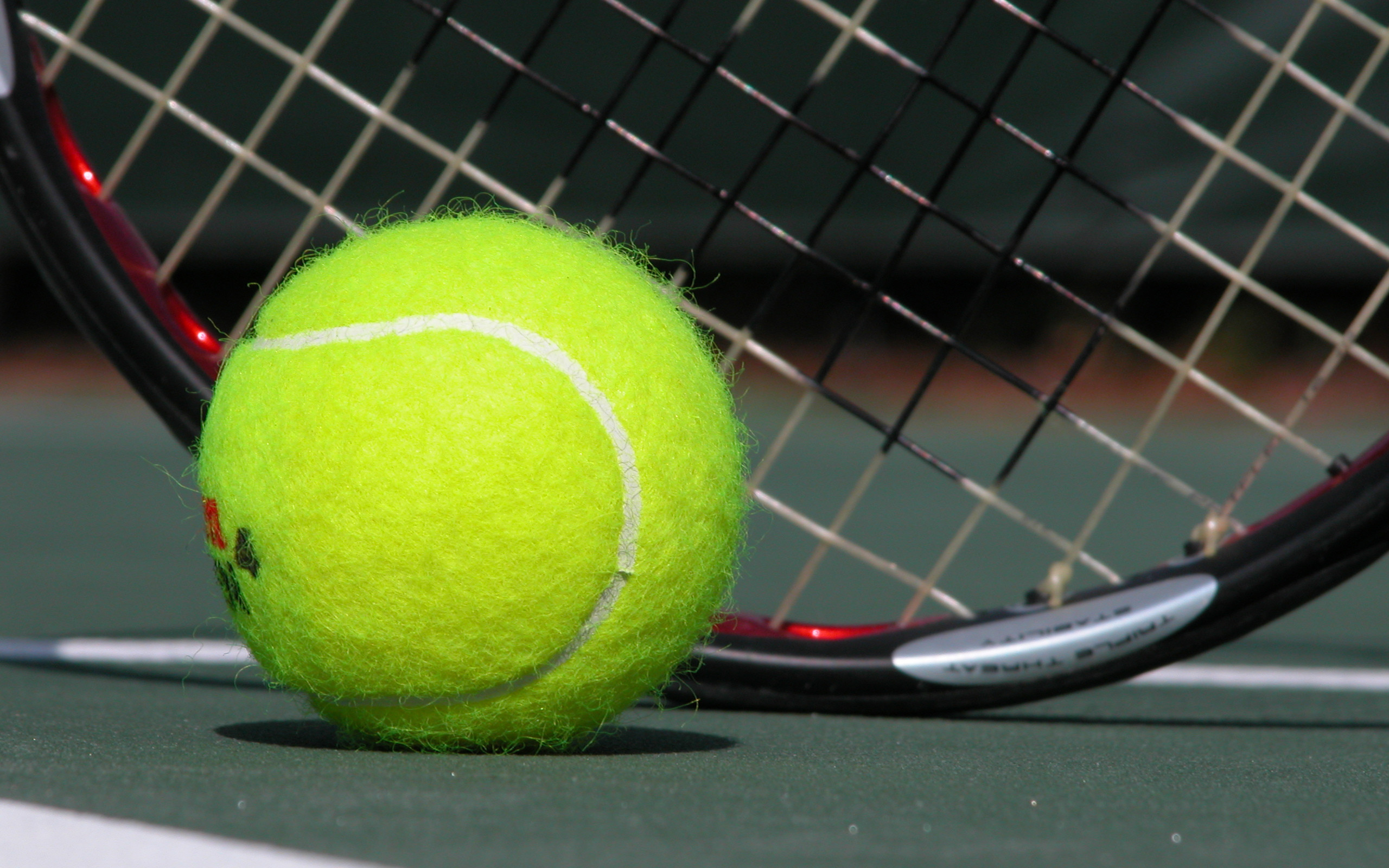 Pallina da tennis, Racchetta, Campo, Primo piano, 2560x1600, immagine di sfondo