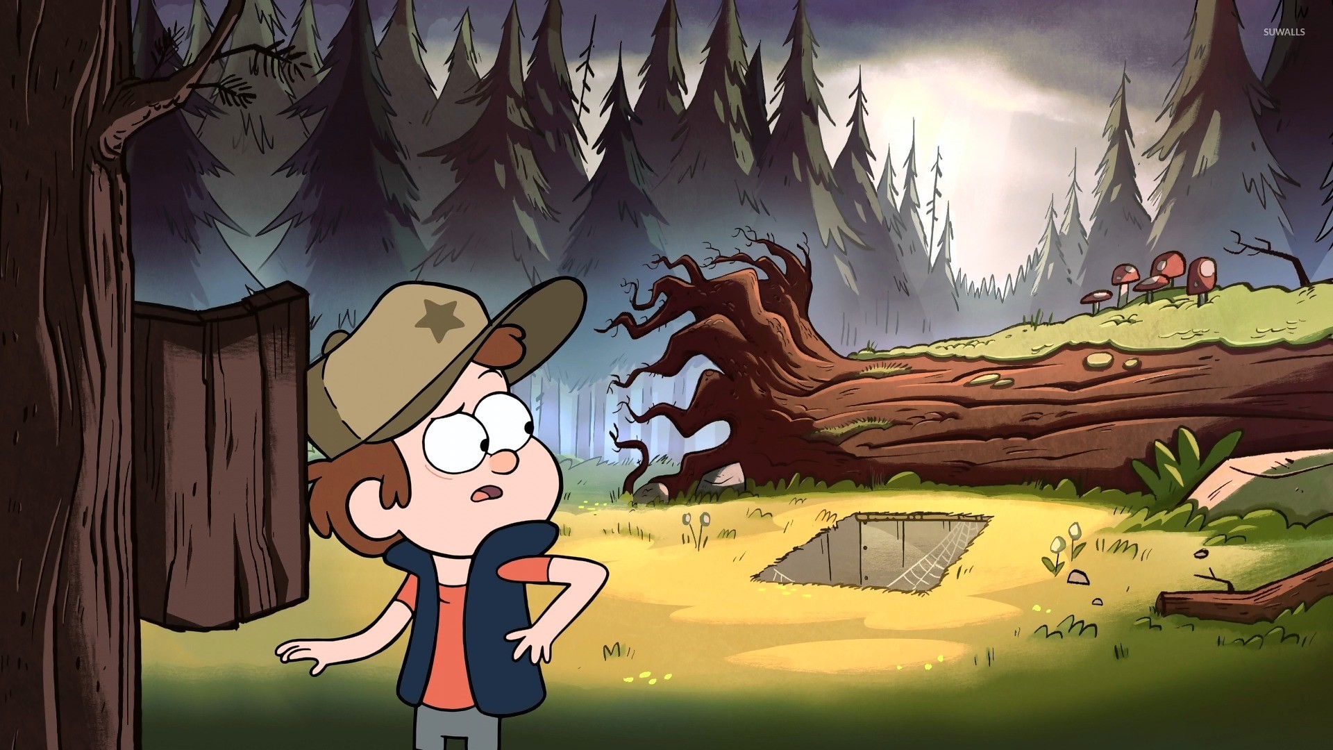 Dipper Pines, Gravity Falls, Foresta, Albero caduto, 1920x1080, immagine di sfondo