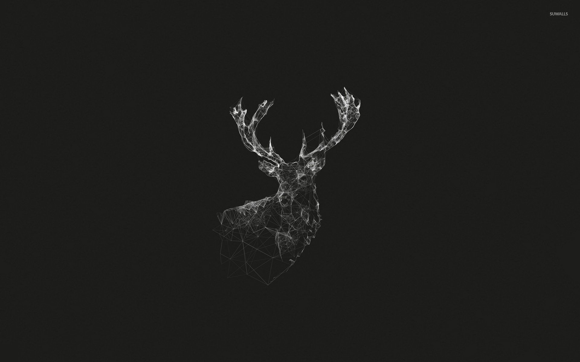 Cervo, Wireframe, Low poly, Sfondo scuro, 1920x1200, wallpaper desktop