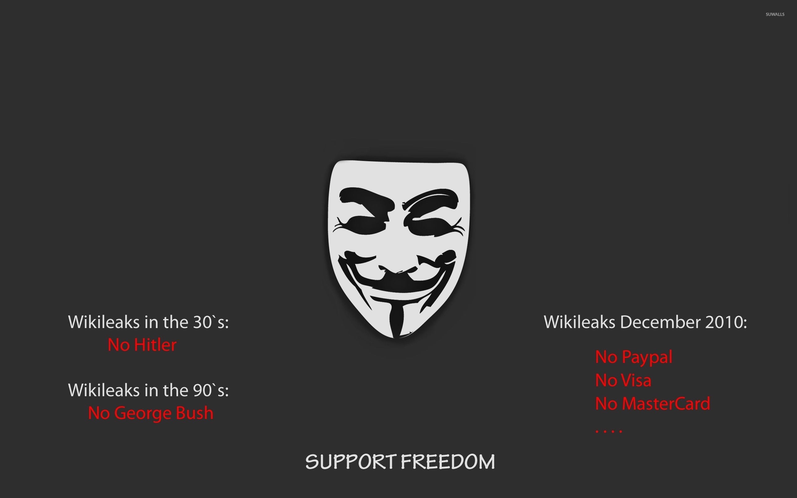 Maschera di Guy Fawkes, WikiLeaks, Support Freedom, Sfondo grigio, wallpaper 2560x1600