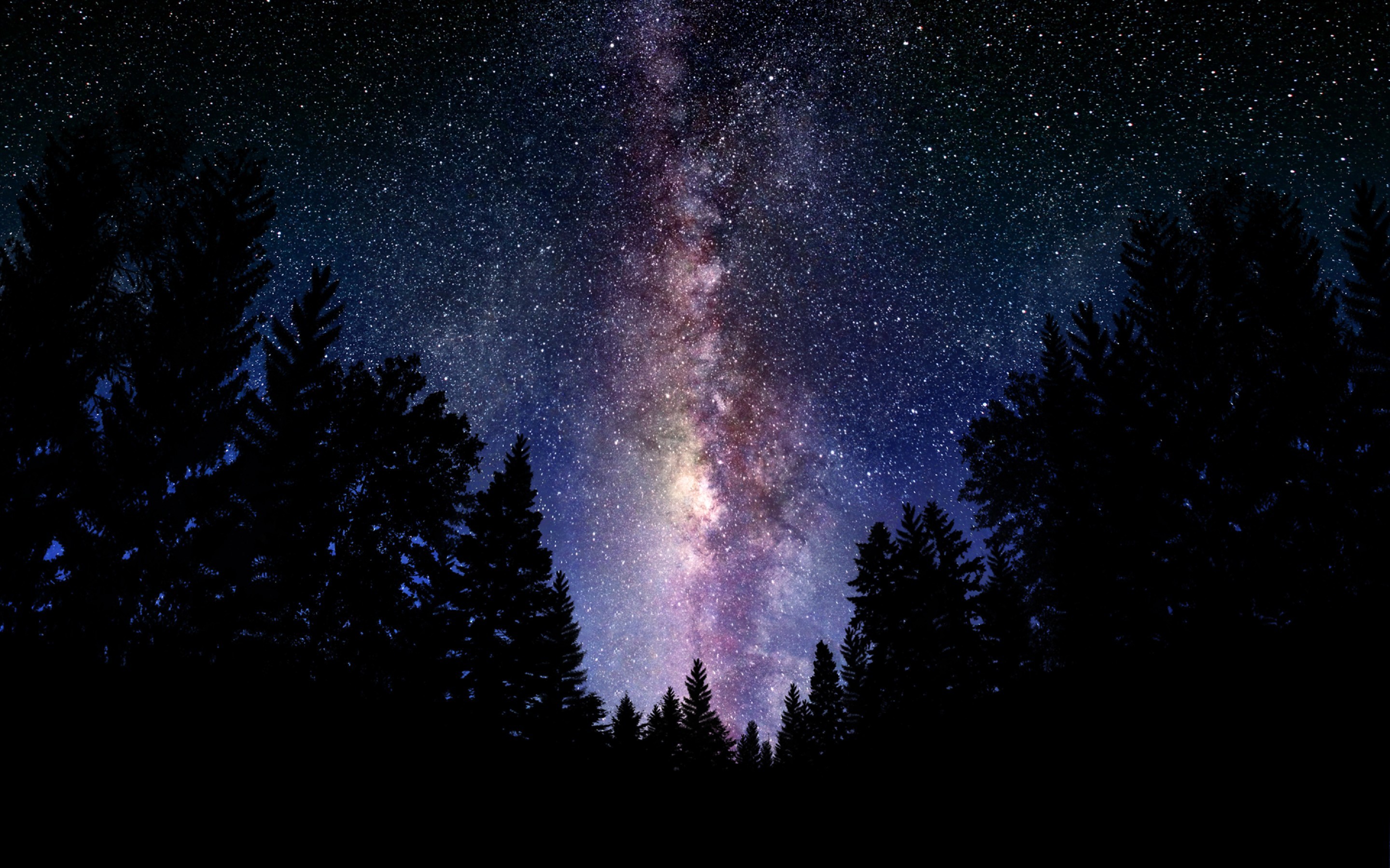 Via Lattea, Cielo stellato, Foresta, Silhouette alberi, Notte, 2K, sfondo per PC e portatile