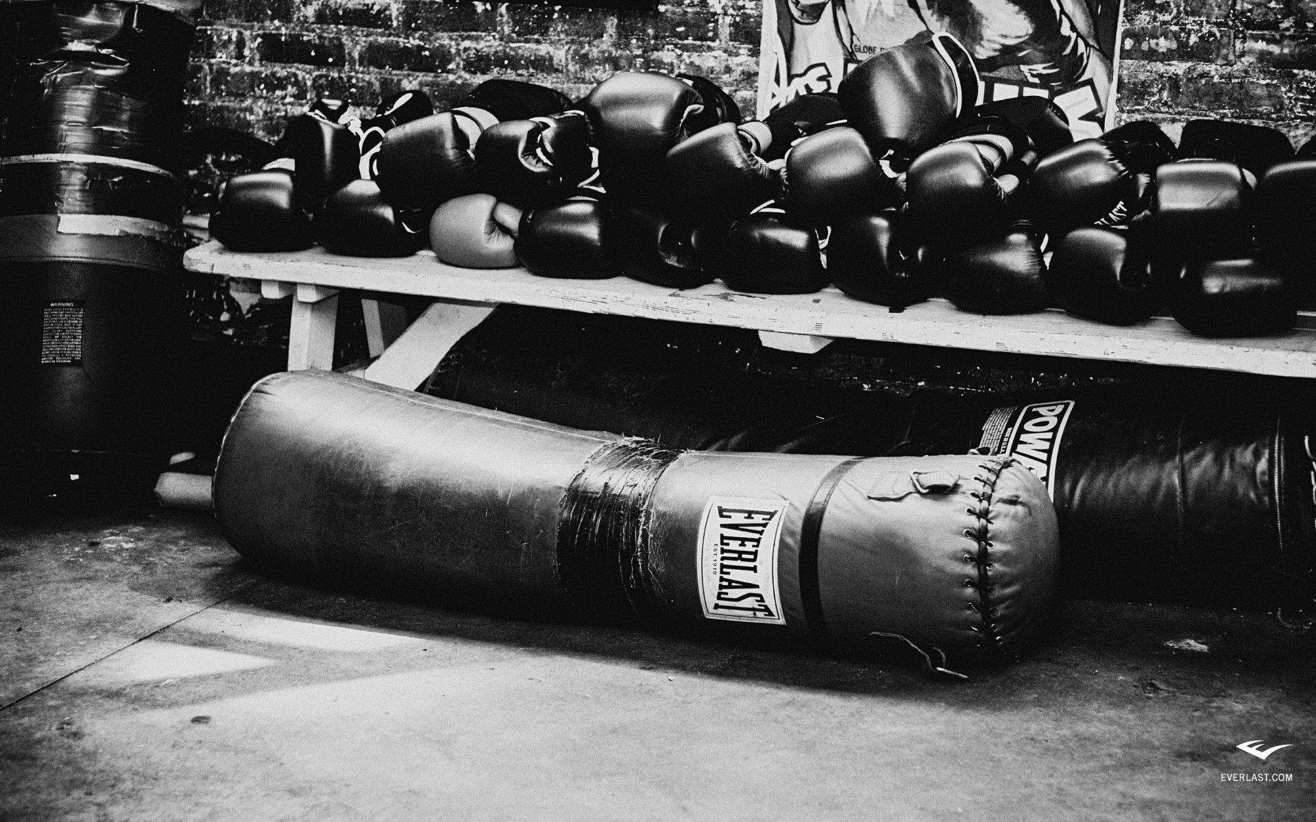Guantoni da boxe, Sacco da boxe, Everlast, Bianco e nero, 1920x1200, sfondo MacBook Pro