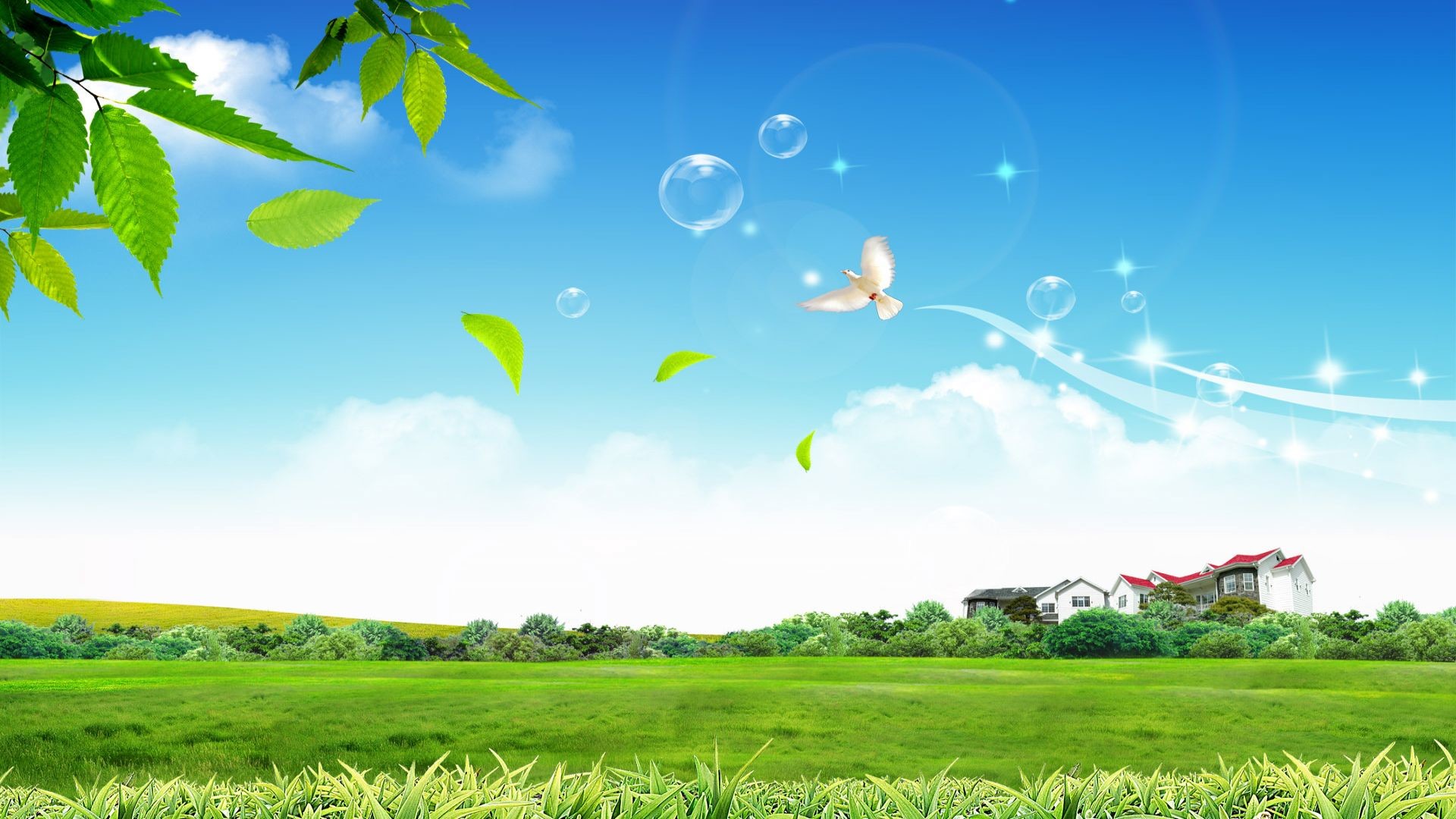 Prato verde, Cielo azzurro, Colomba, Foglie, Primavera, Full HD, immagine di sfondo PC