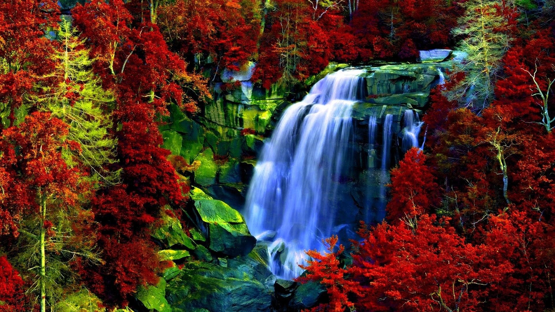 Cascata, Foglie rosse, Bosco, Colori vivaci, Full HD 1080p, sfondo desktop