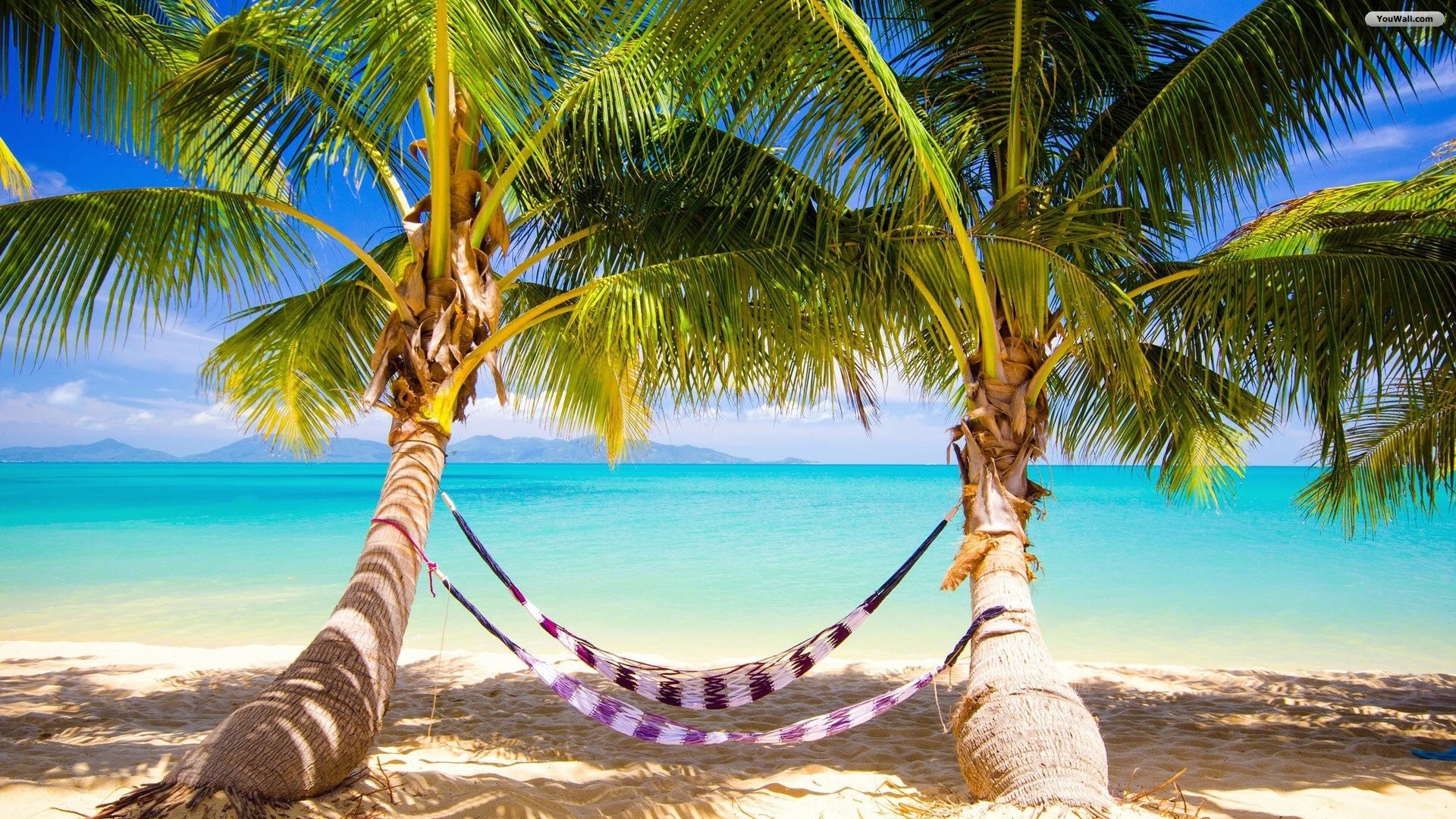 Amaca, Palme, Spiaggia tropicale, 16:9 Full HD, sfondo widescreen