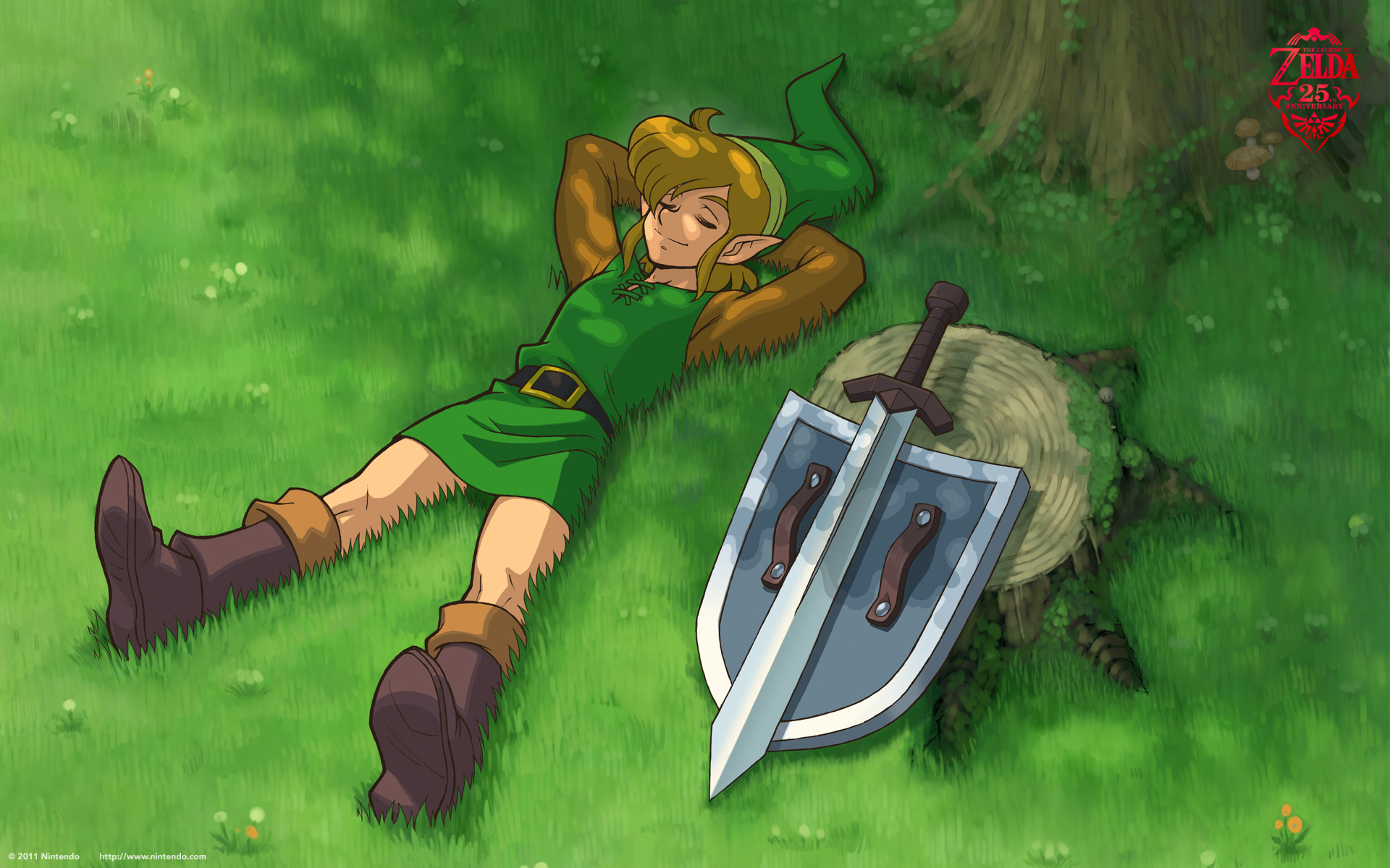 Link, A Link to the Past, Spada Suprema, Prato, Riposo, 16:10 Full HD, sfondo widescreen
