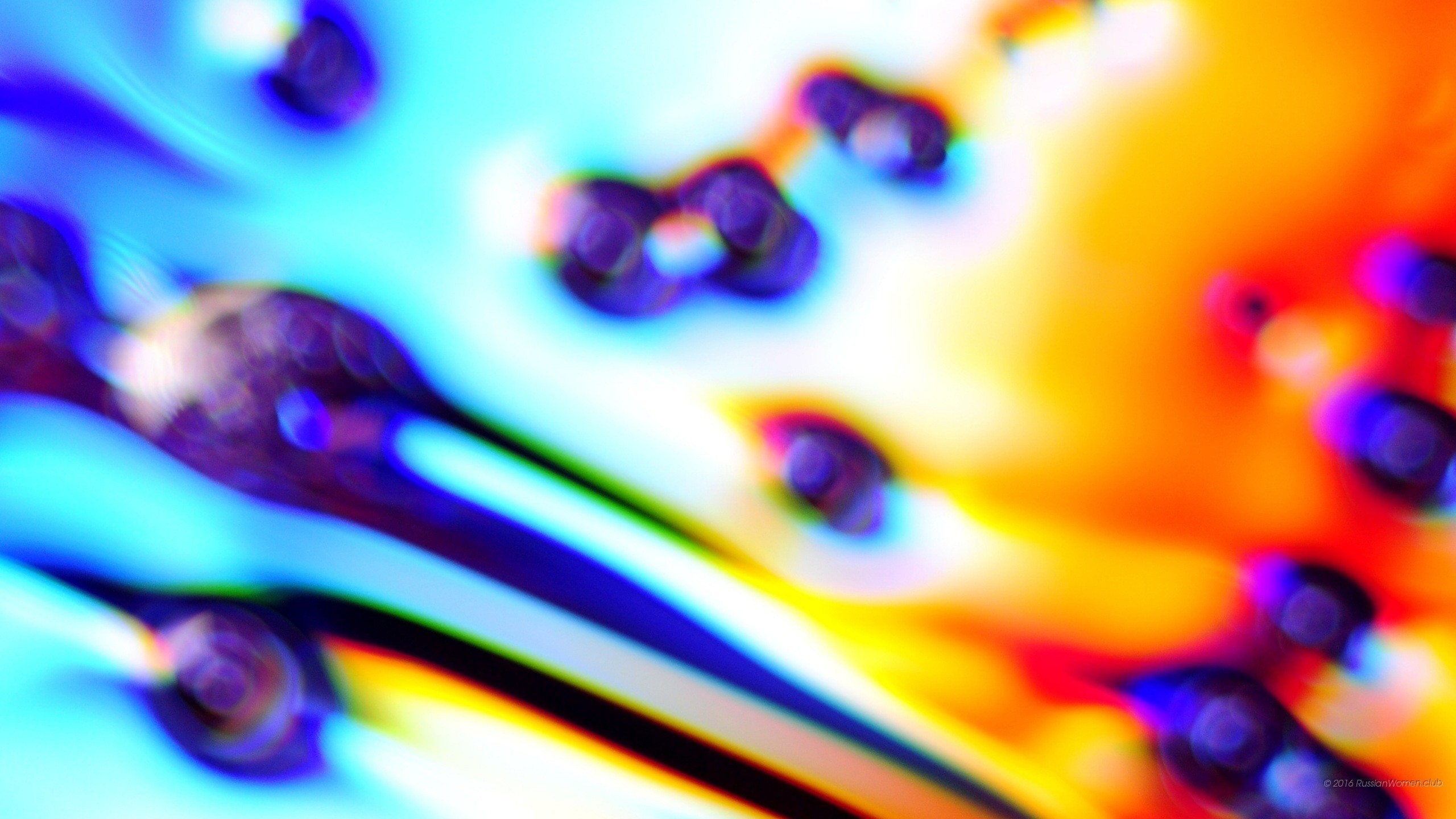 Astratto, Macro, Colori, 2K, sfondo per il tuo desktop