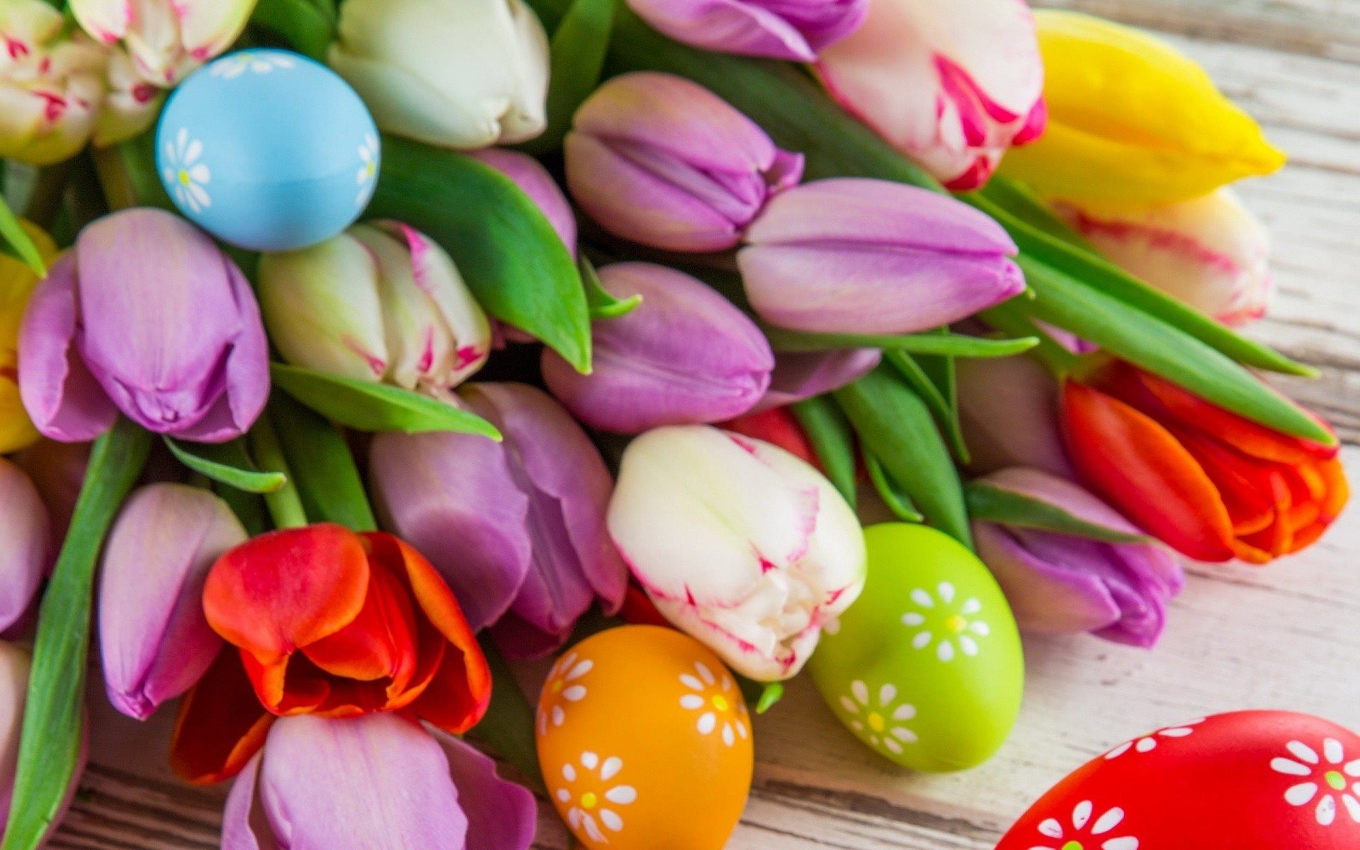 Tulipani, Uova di Pasqua, Colori pastello, 1920x1200, wallpaper desktop