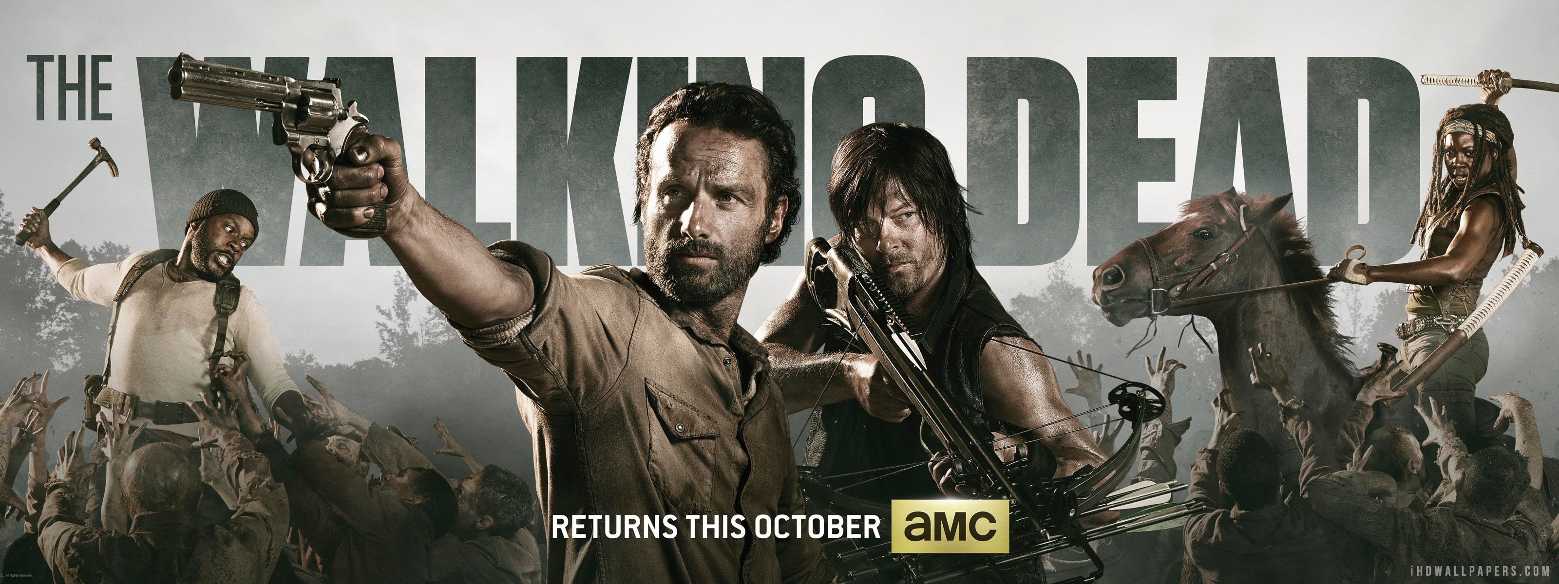 Daryl Dixon, Rick Grimes, Michonne, The Walking Dead, AMC, Poster, sfondo 2K per PC