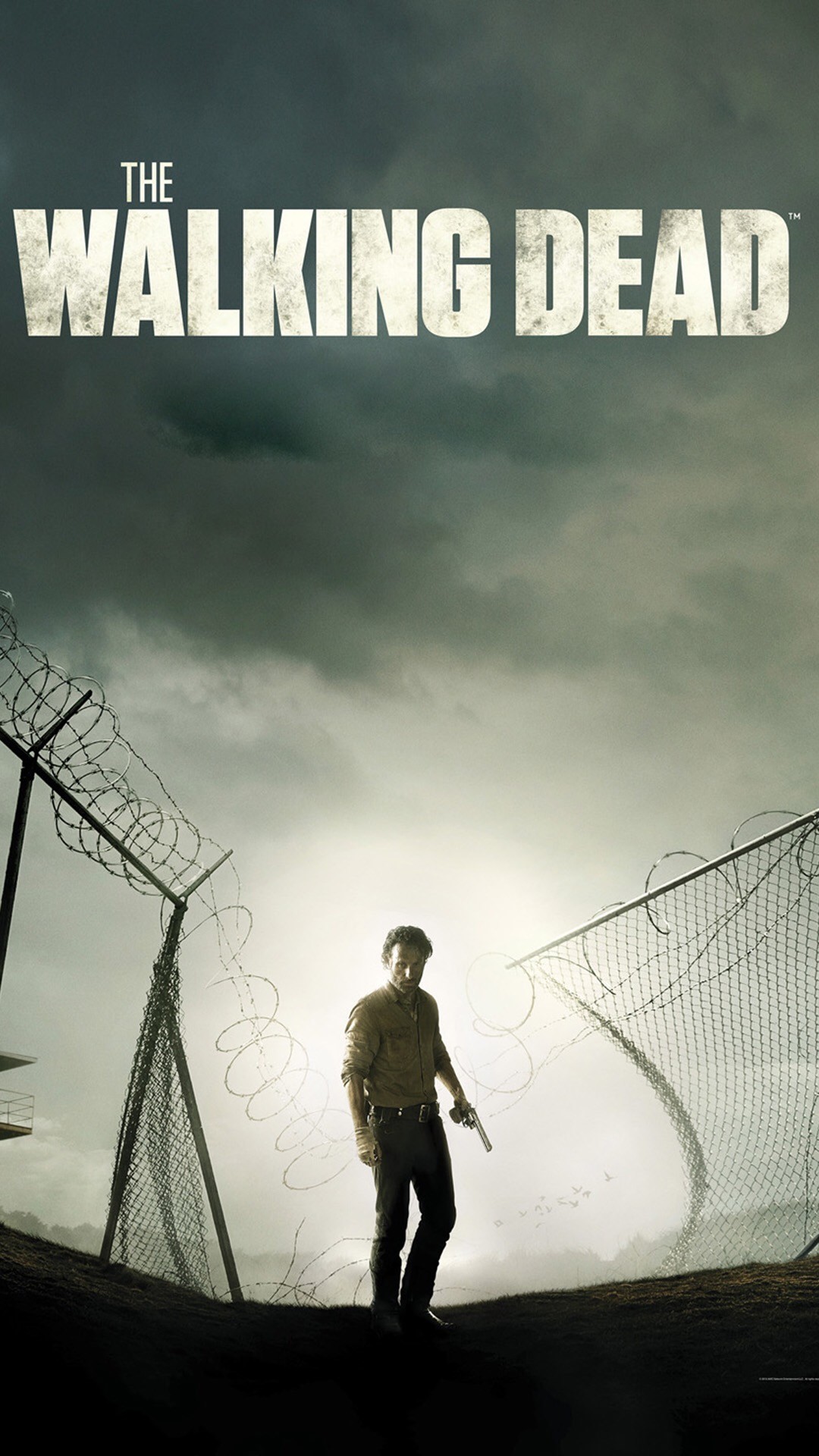 The Walking Dead, Rick Grimes, Prigione, Recinzione, Poster, sfondo per iPhone e Android