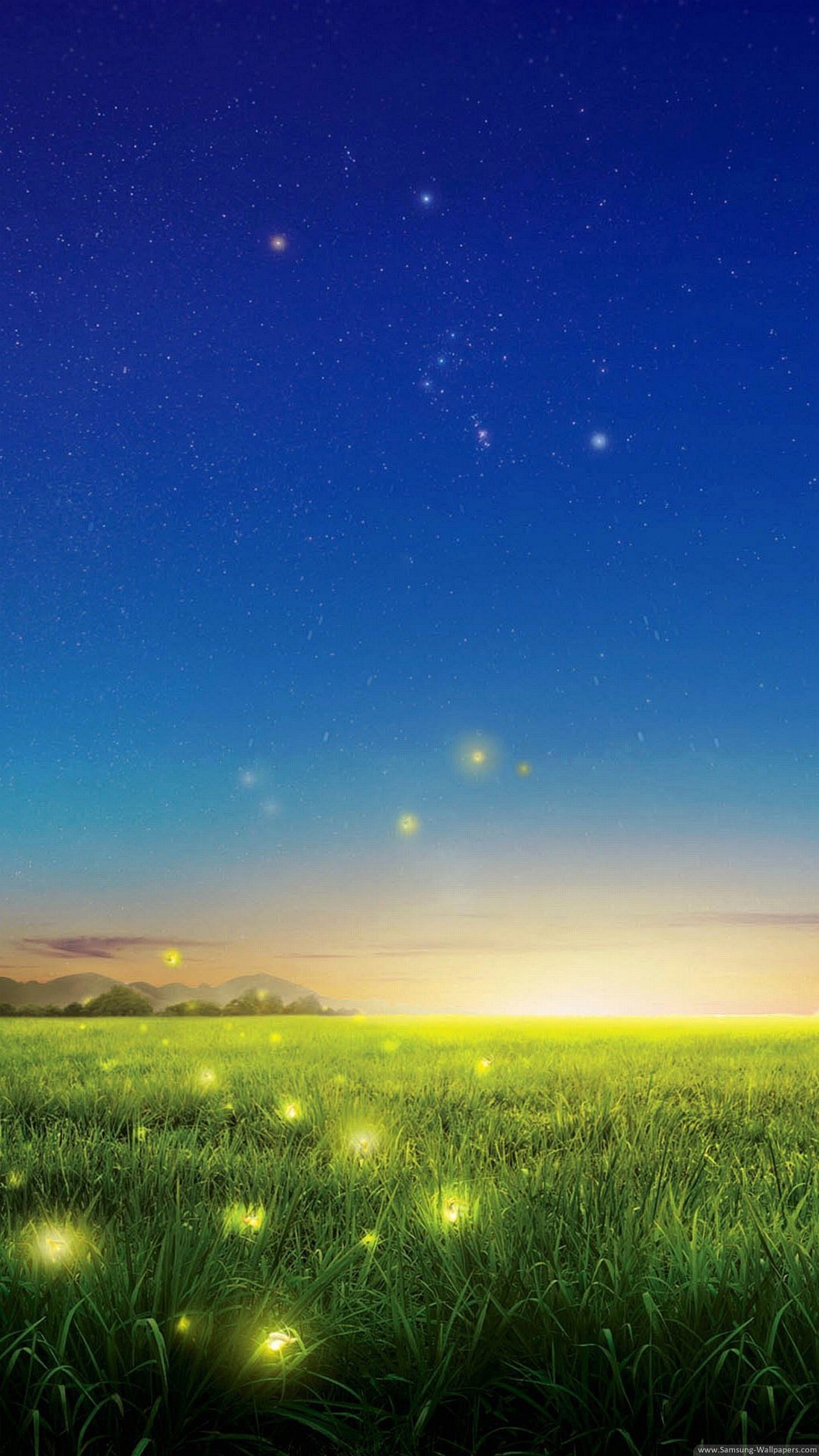 Prato, Lucciole, Cielo stellato, Crepuscolo, QHD+, sfondo per smartphone