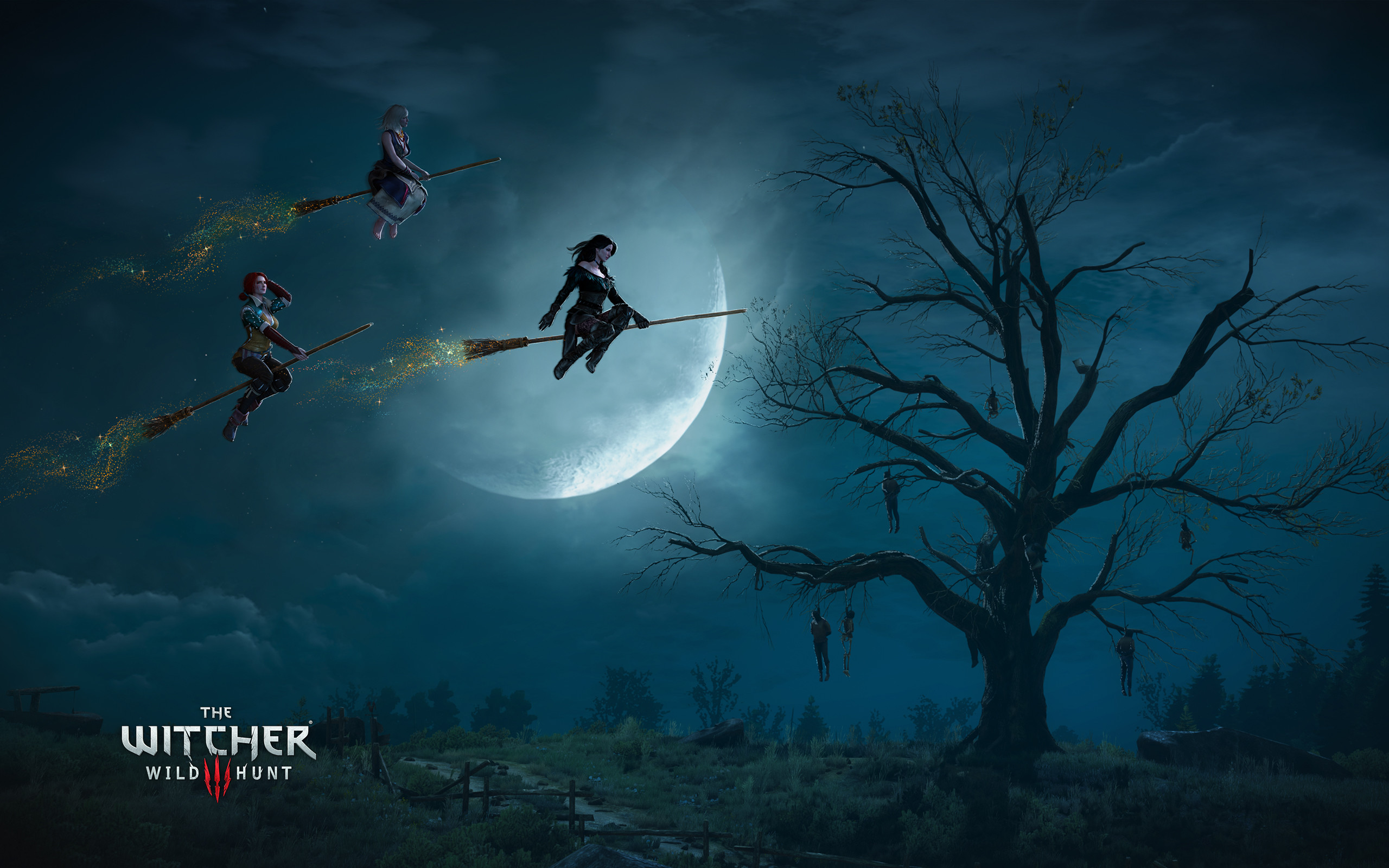 Dame del Bosco, The Witcher 3: Wild Hunt, Streghe, Luna, Notte, 2K, wallpaper per portatile