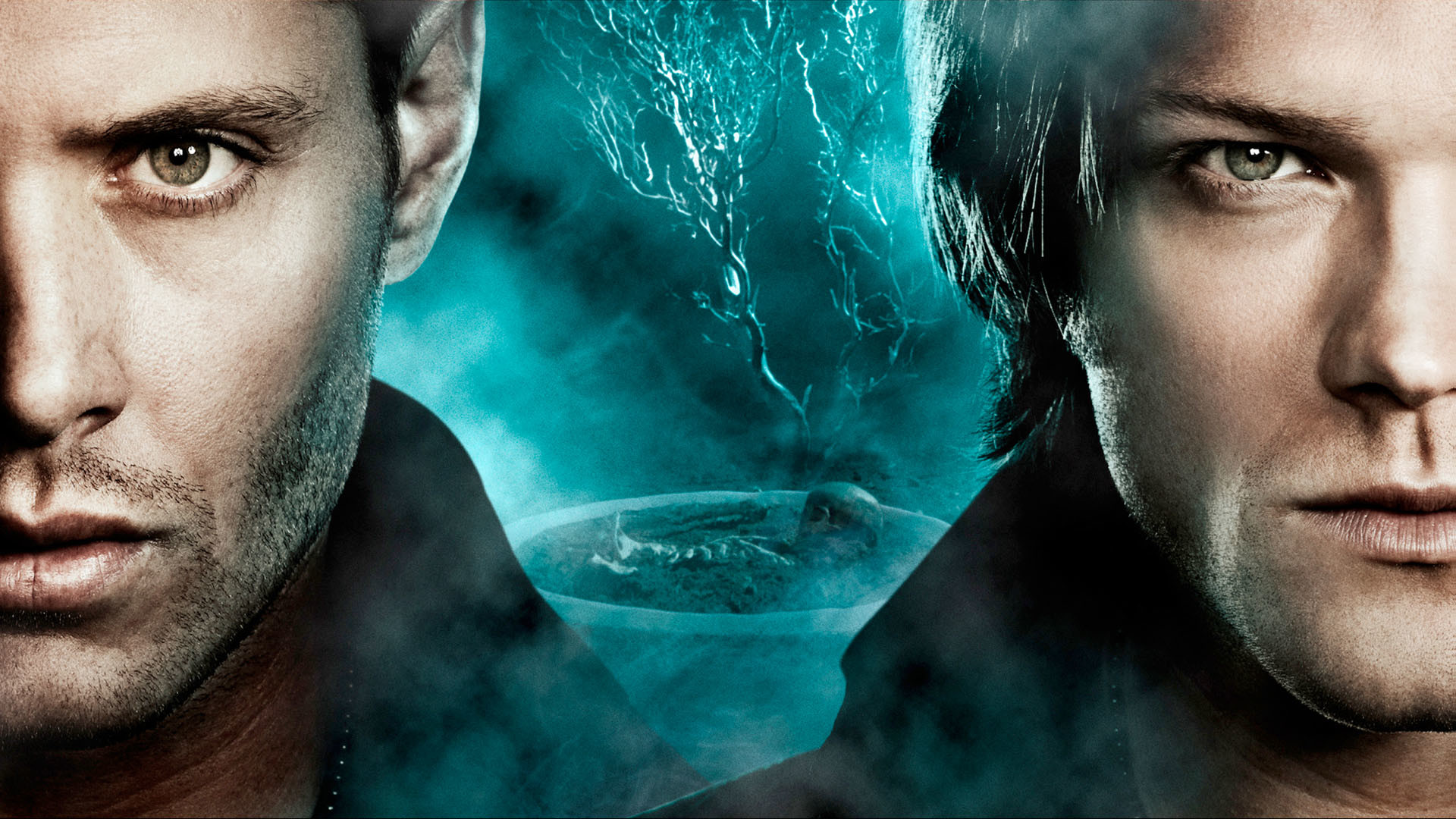 Dean Winchester, Sam Winchester, Jensen Ackles, Jared Padalecki, Primo piano, sfondo per PC