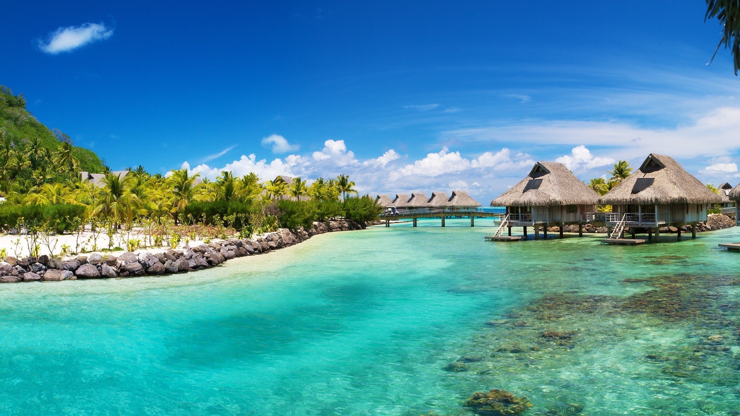 Bora Bora, Bungalow sull'acqua, Laguna turchese, Resort, 2K 1440p, sfondo desktop