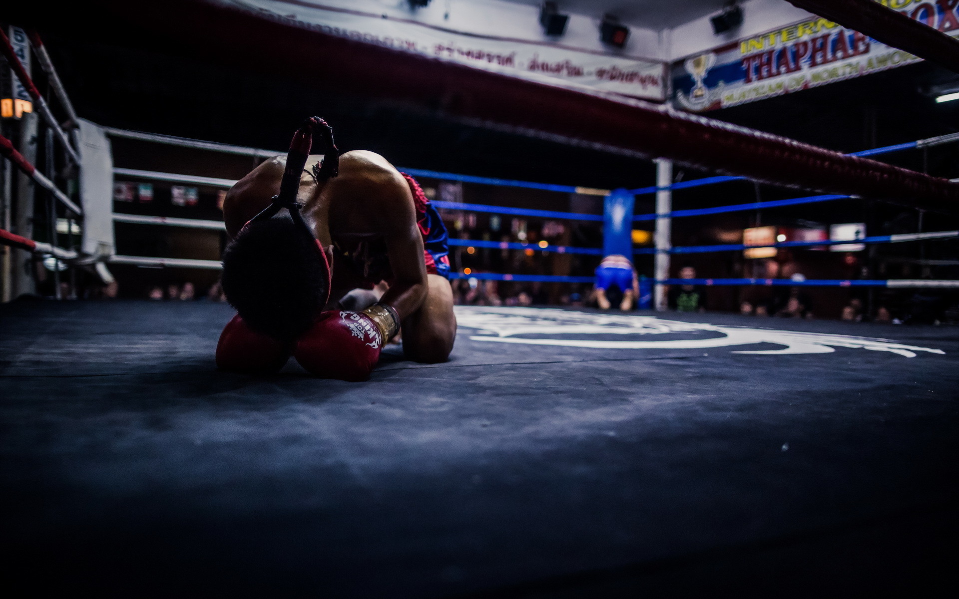Ring, Muay thai, Guantoni, Stanchezza, Full HD, sfondo desktop