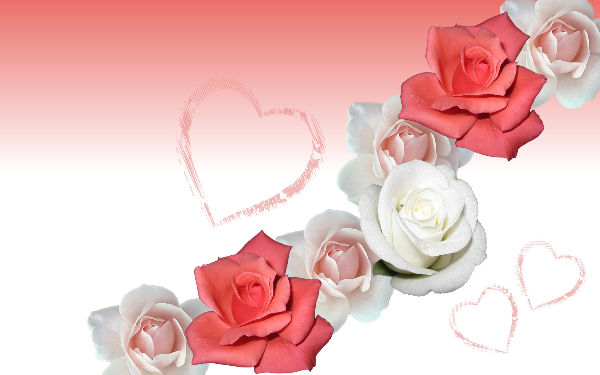 Rose rosa e bianche, Cuori, Illustrazione, Full HD, sfondo per PC