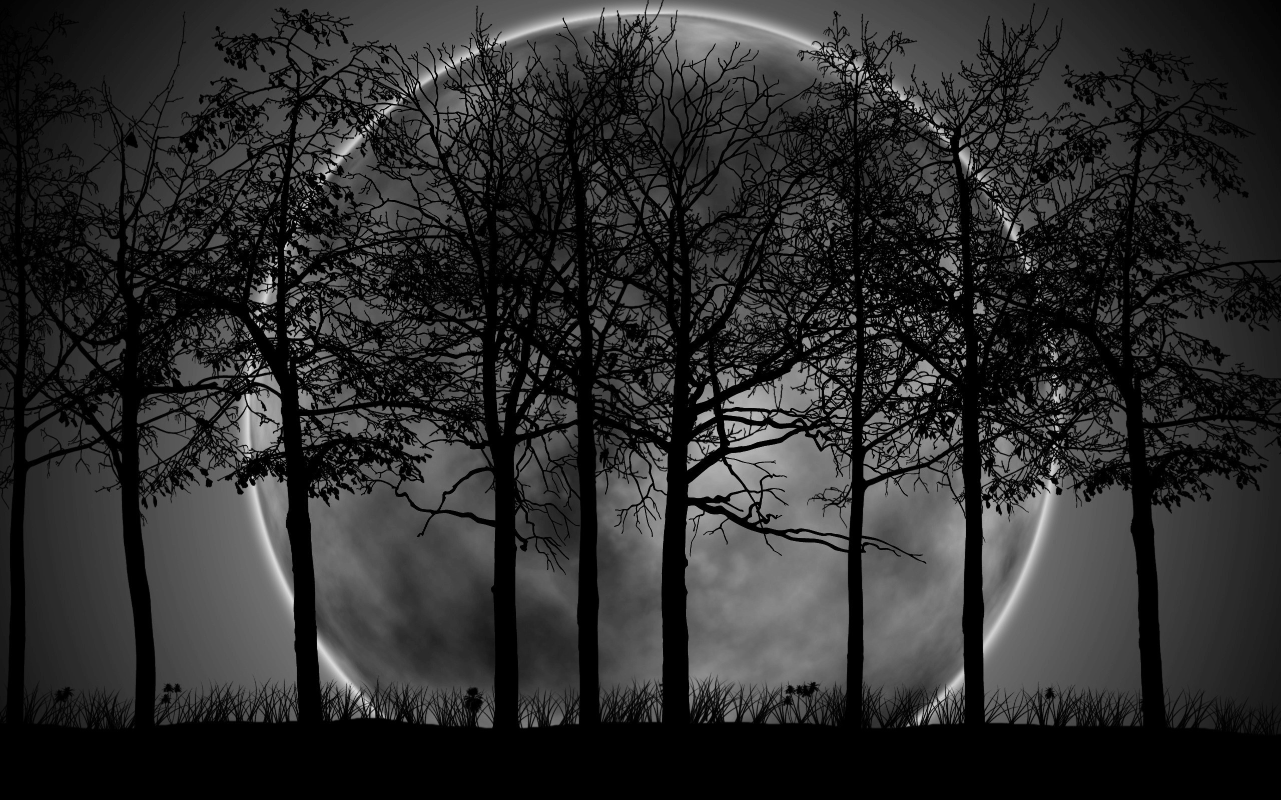 Luna, Alberi spogli, Silhouette, Bianco e nero, 2K 1600p, sfondo desktop