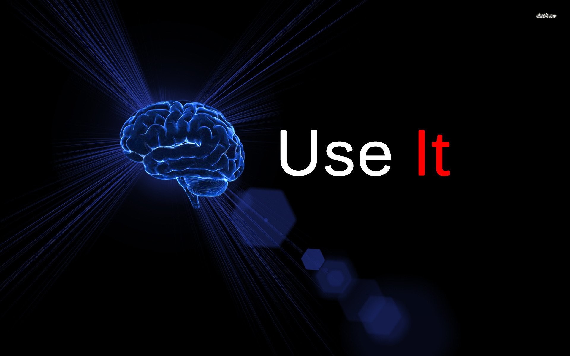 Cervello, Use It, Tipografia, Blu, Sfondo nero, 16:10 Full HD, wallpaper widescreen