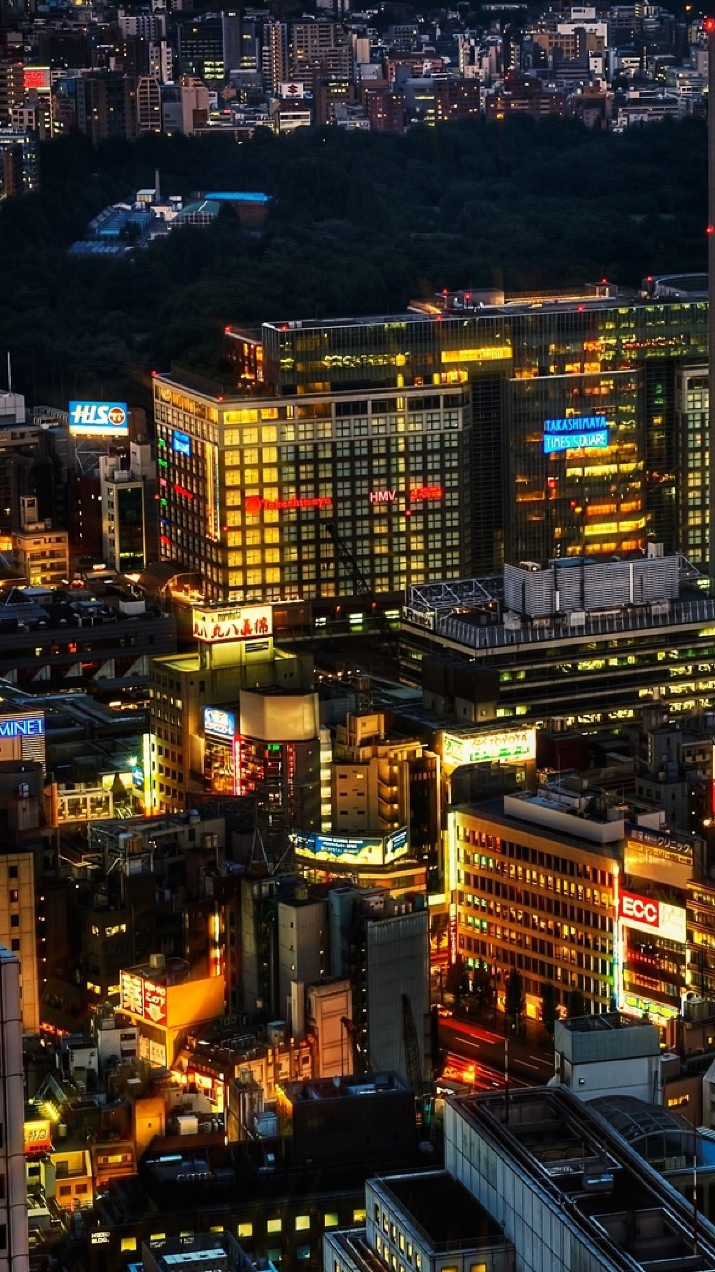 Tokyo, Grattacieli, Notte, Vista dall'alto, QHD+, sfondo per iPhone e Android