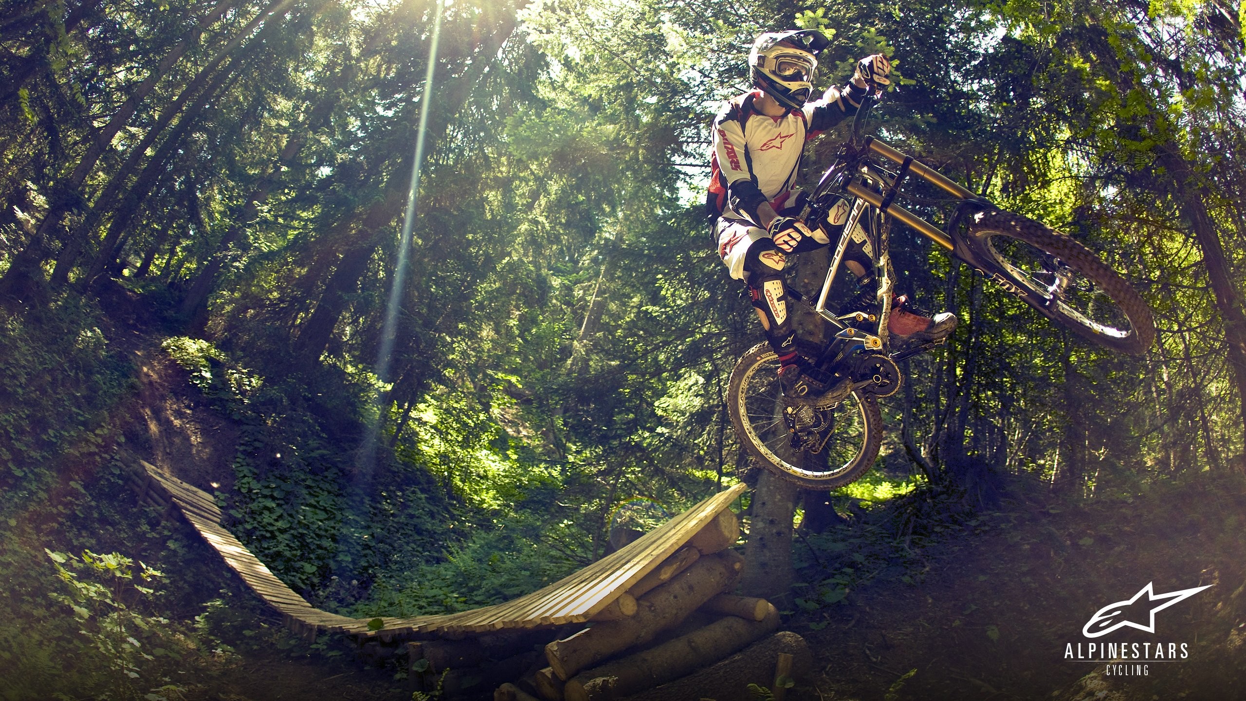 Mountain bike, Salto, Bosco, Fisheye, Alpinestars, 2K, sfondo per portatile