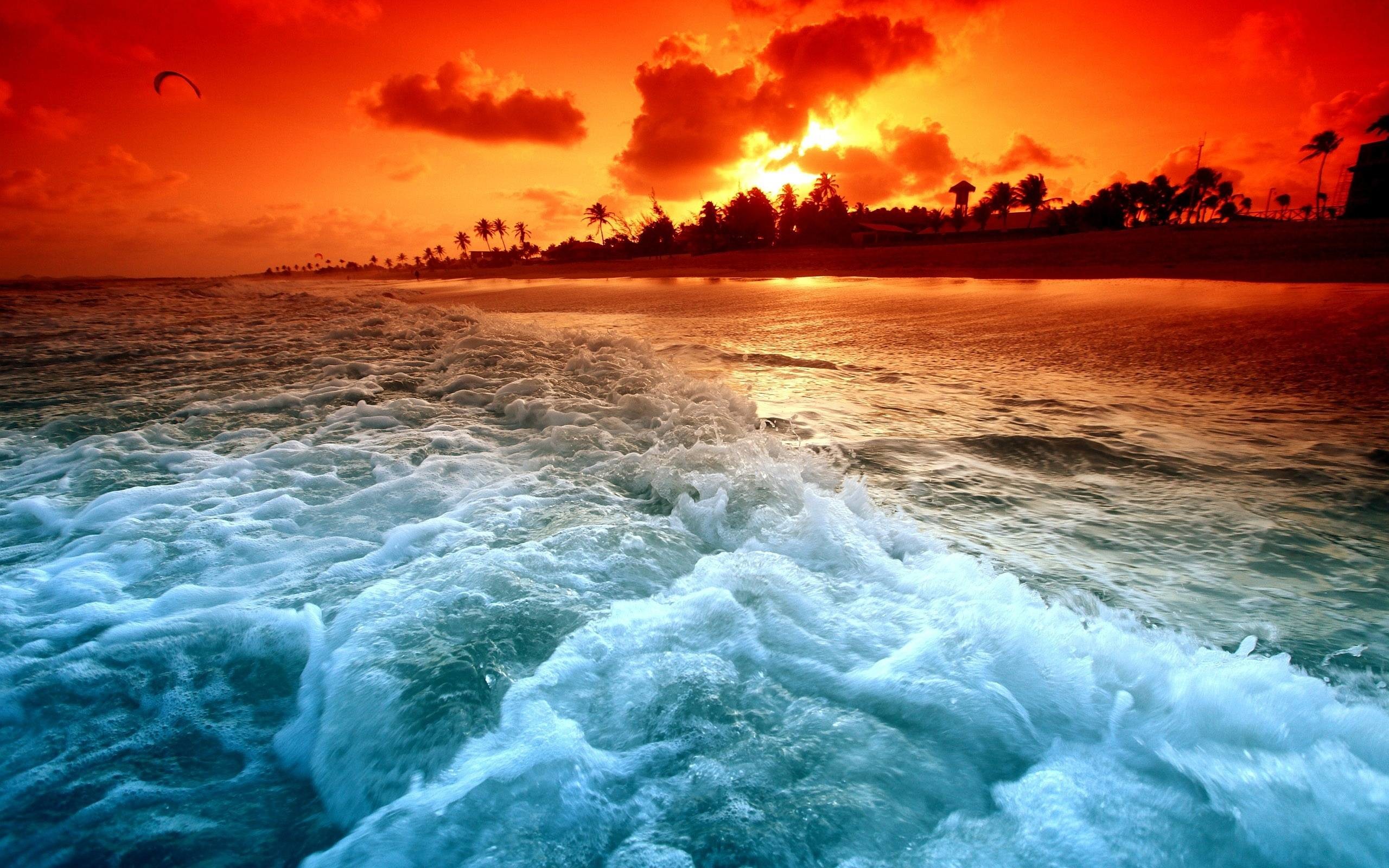 Onde, Tramonto tropicale, Palme, Mare, Rosso, 2K 1600p, sfondo desktop