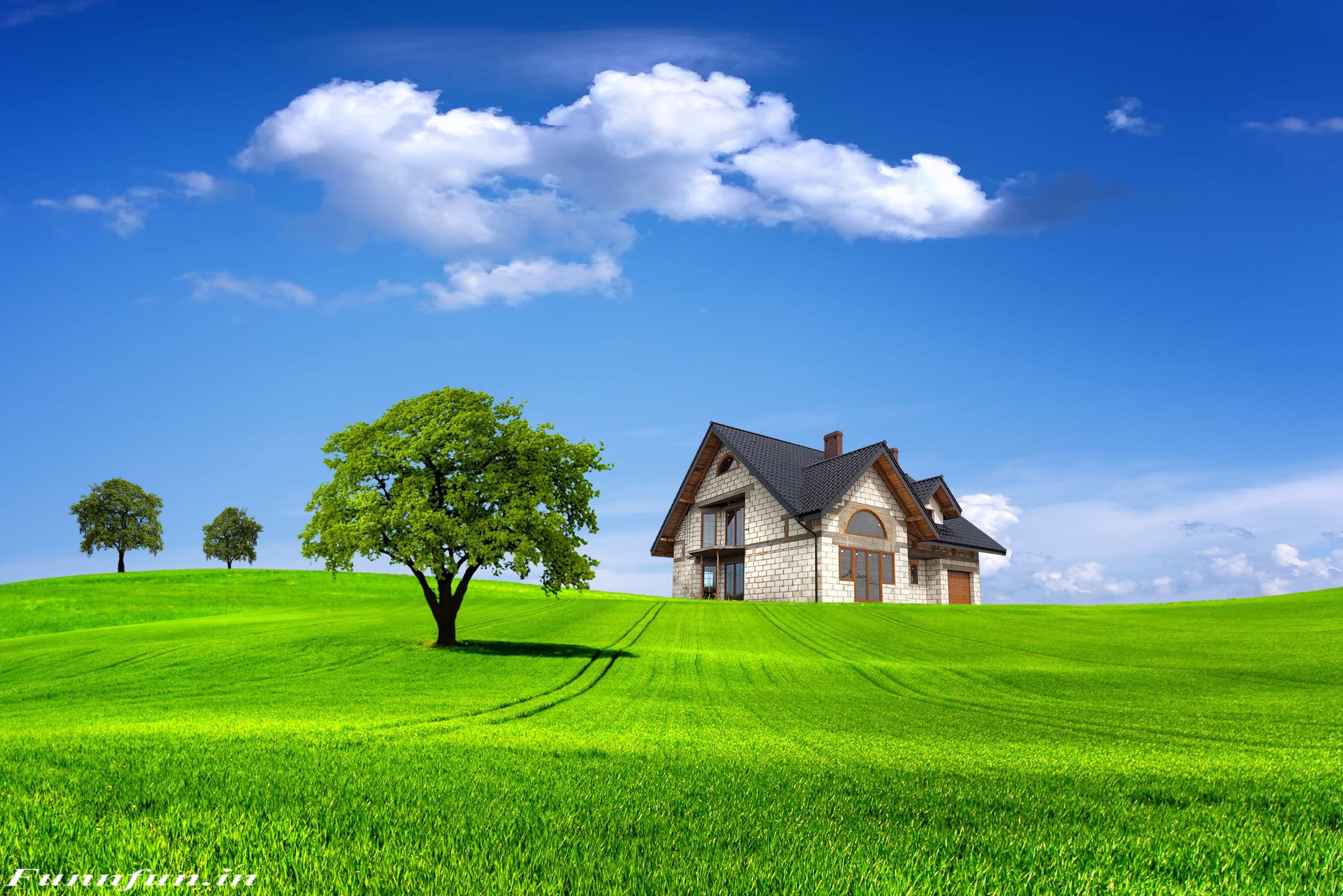 Casa, Prato verde, Albero, Cielo azzurro, Nuvole, 2K, sfondo per PC e portatile
