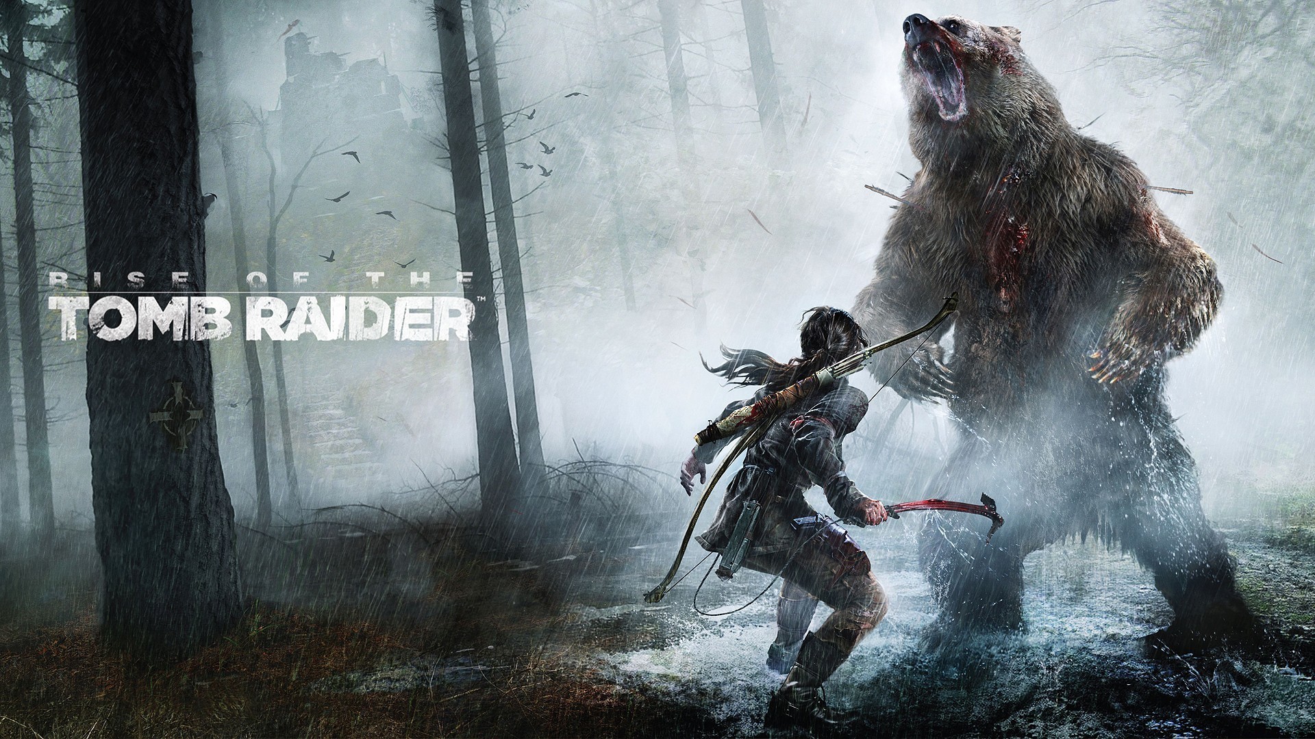 Rise of the Tomb Raider, Lara Croft, Orso, Foresta, Nebbia, Full HD, wallpaper desktop