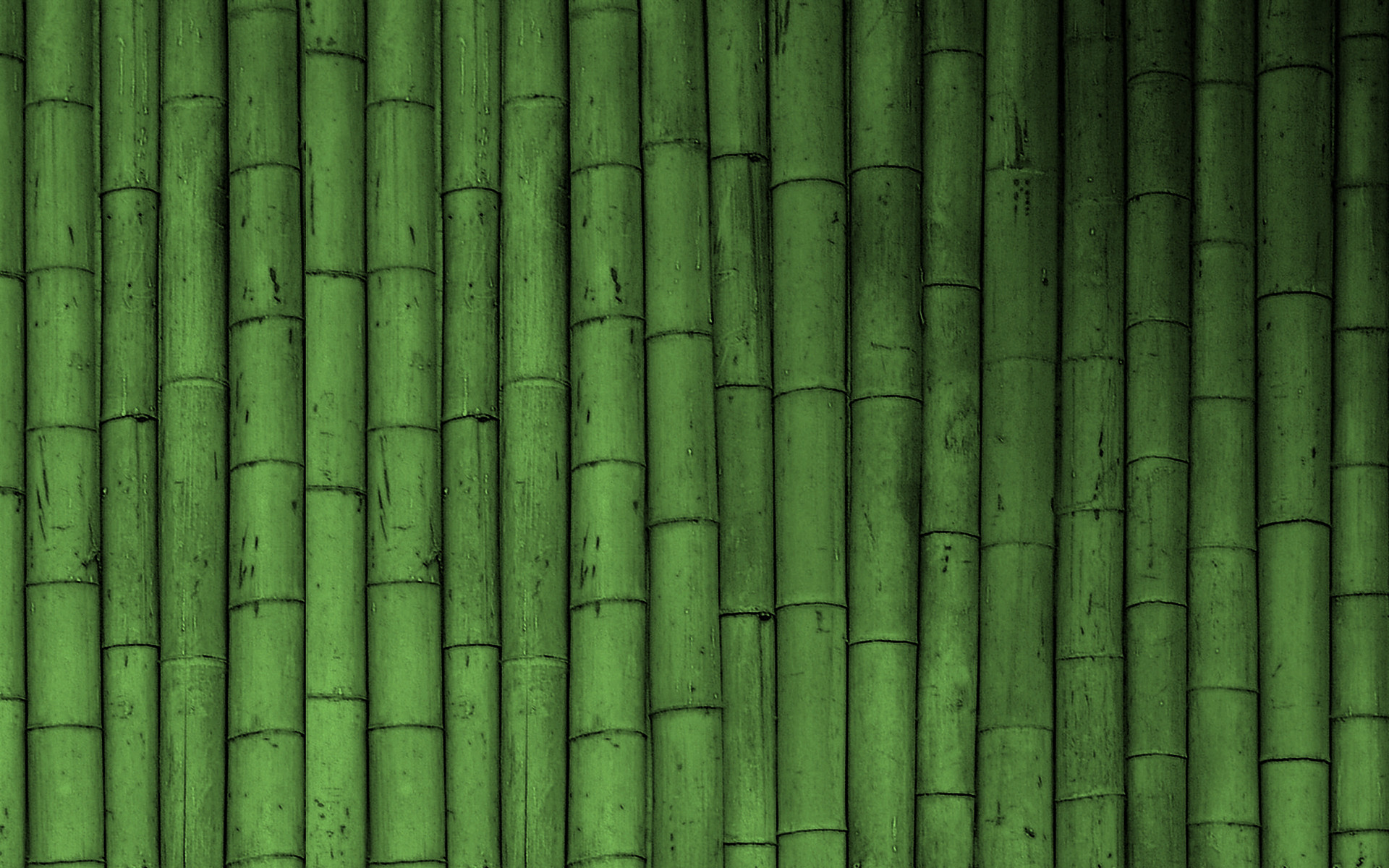 Bambù, Texture, Verde, 1920x1200, sfondo per PC