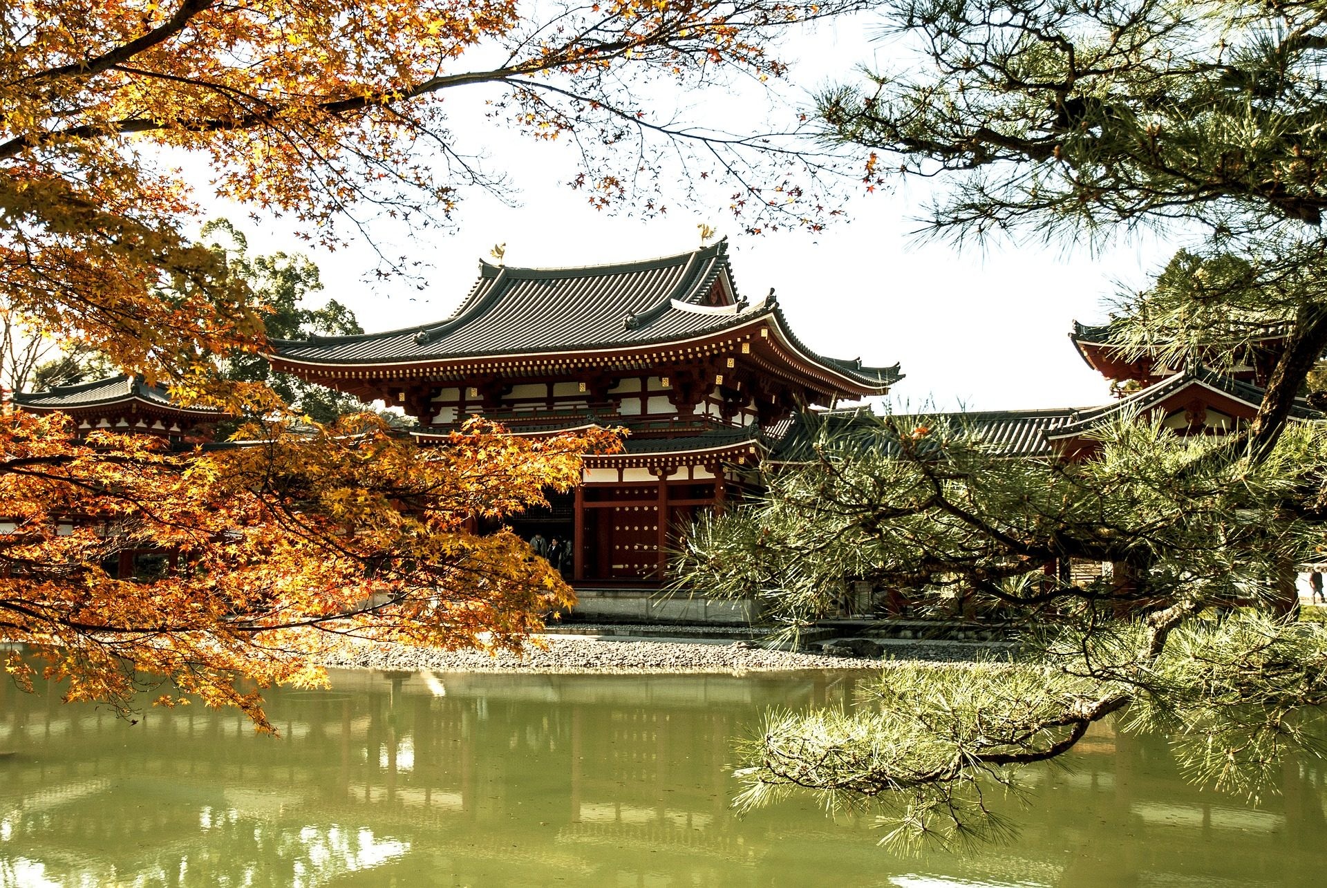 Byodo-in, Uji, Autunno, Full HD, sfondo desktop