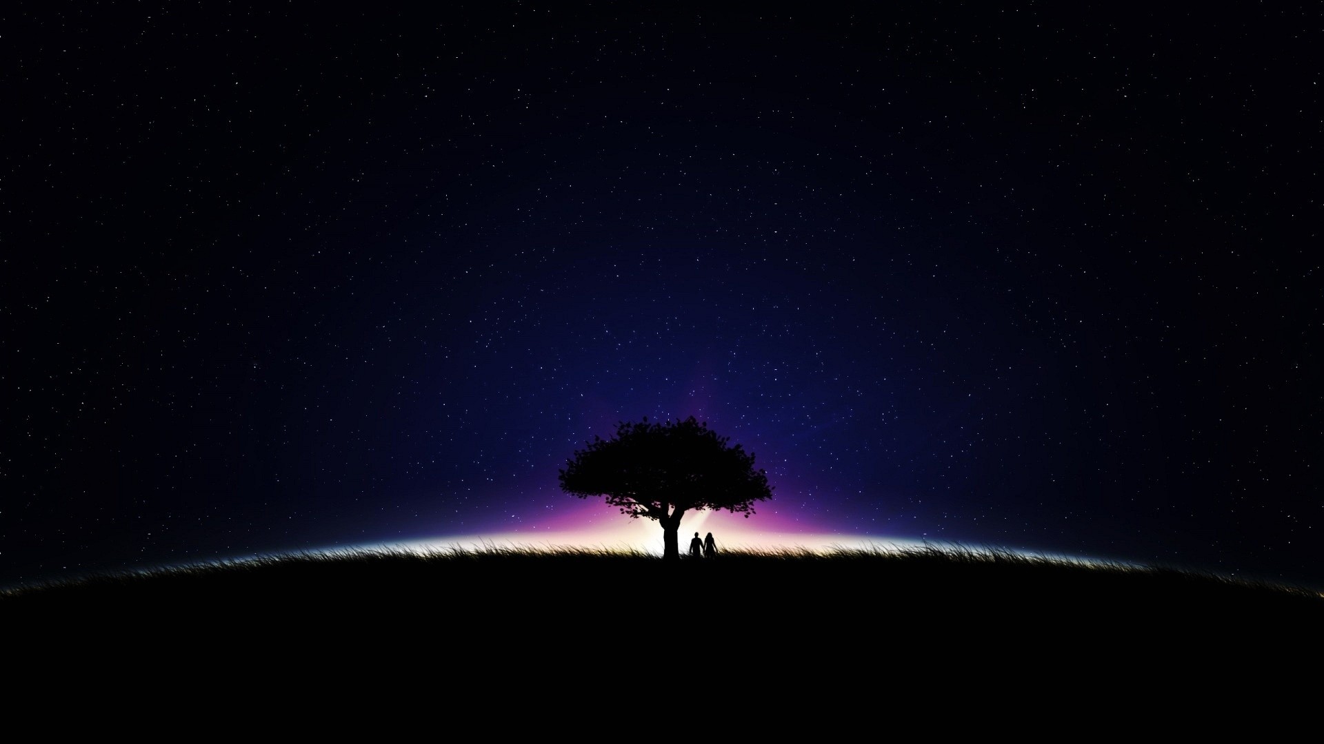 Albero, Silhouette, Coppia, Notte stellata, Full HD, wallpaper desktop