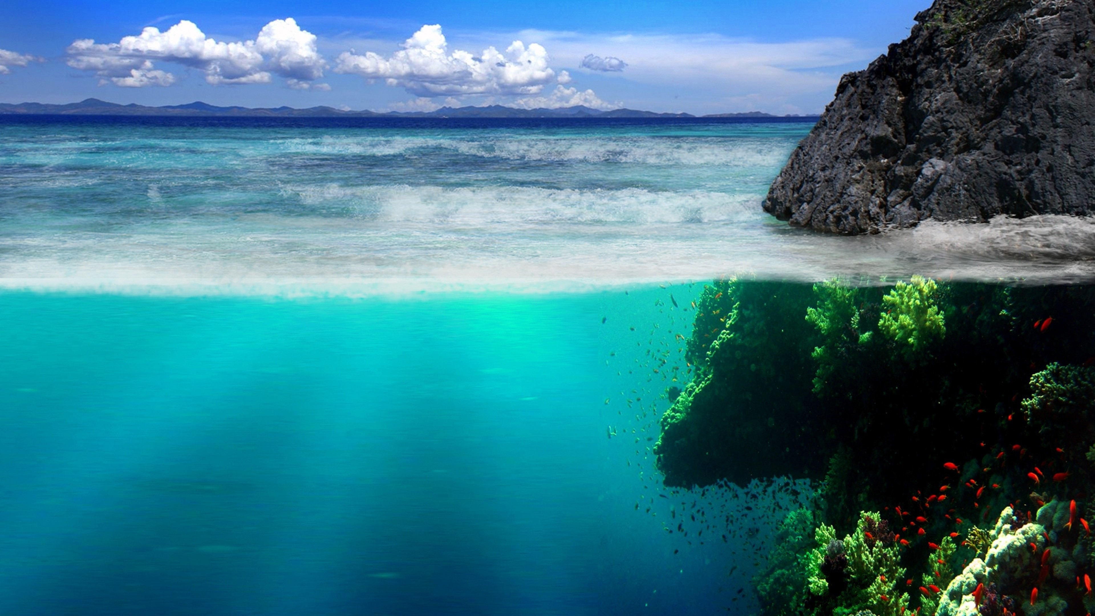 Mare, Vista a pelo d'acqua, Subacqueo, Scogliera, Corallo, 4K, sfondo per PC