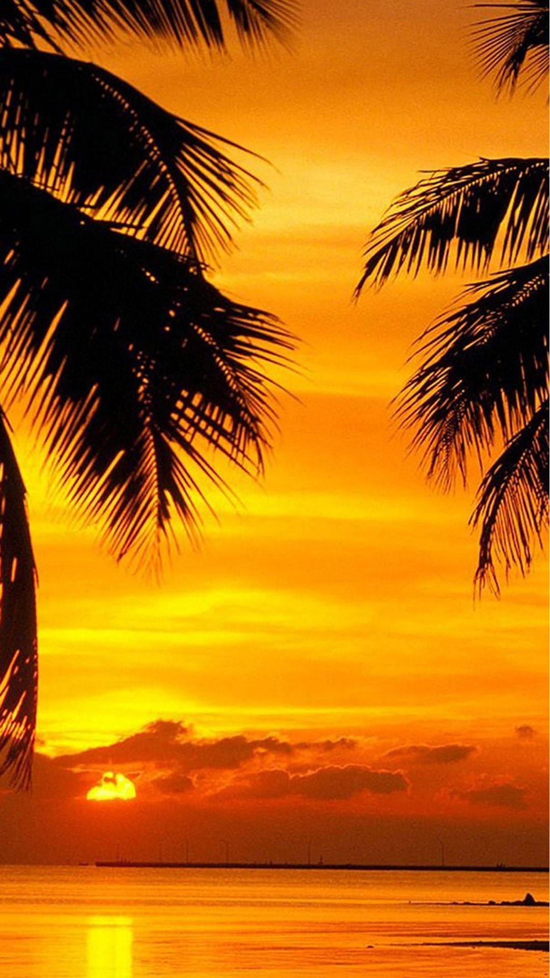 Palme, Tramonto, Cielo arancione, Silhouette, 1080x1920, schermata di blocco iPhone
