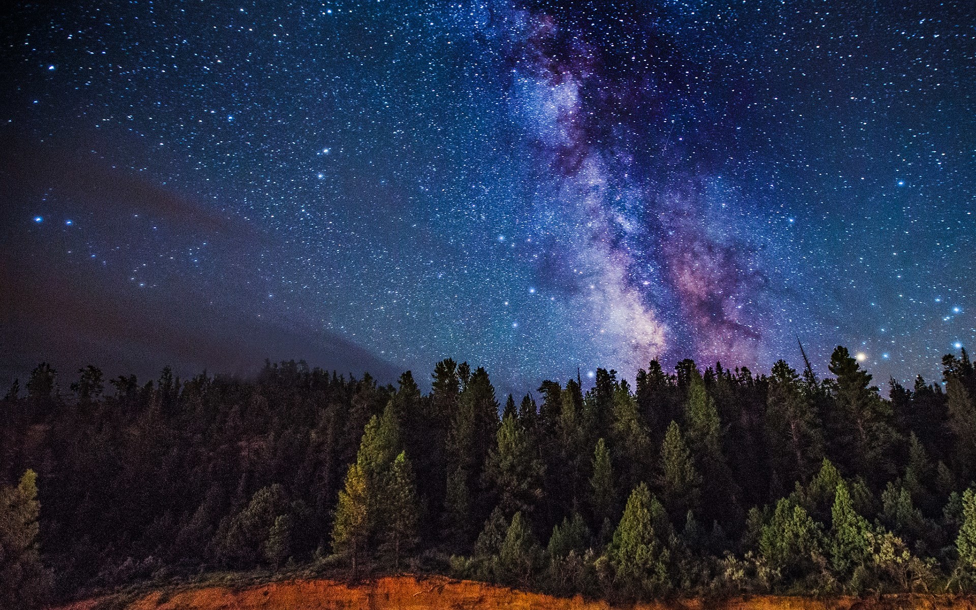 Via Lattea, Foresta, Pini, Cielo stellato, 16:10 Full HD, sfondo widescreen