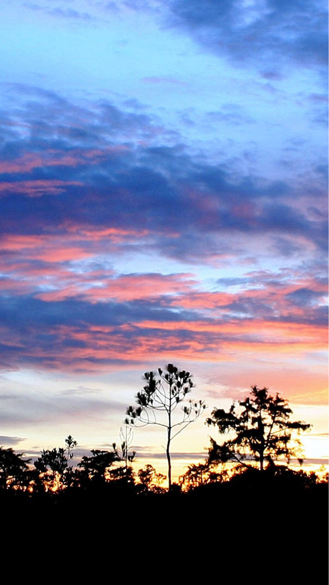 Cielo al tramonto, Alberi, Silhouette, Nuvole, sfondo schermata di blocco iPhone 5C