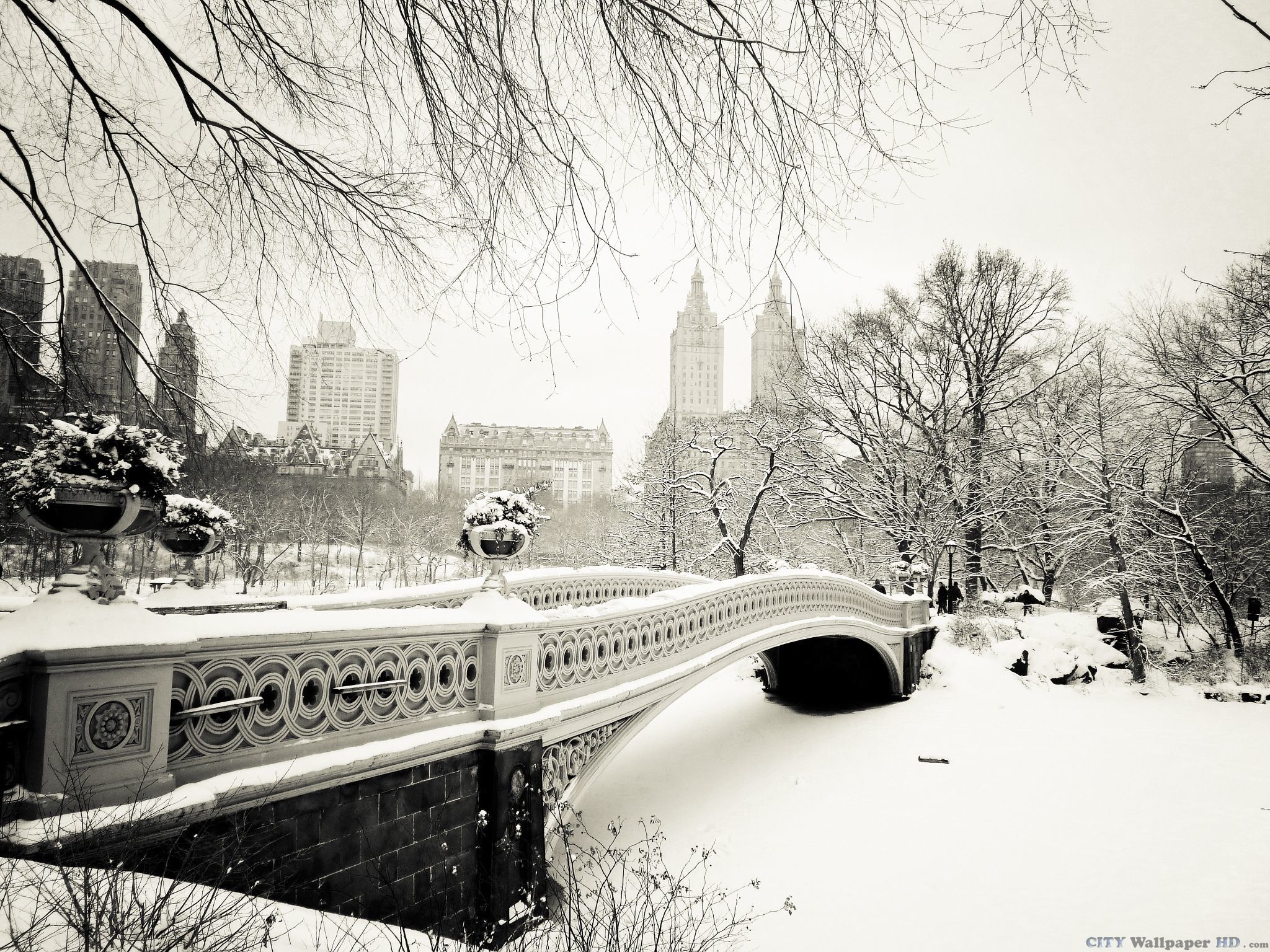 Central Park, Bow Bridge, New York, Neve, Bianco e nero, Full HD, wallpaper per desktop