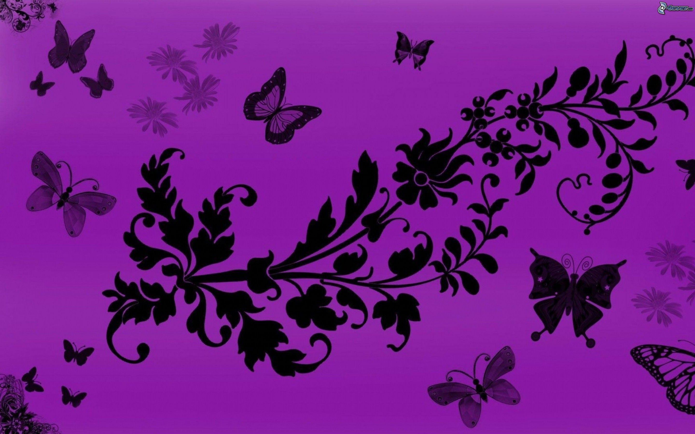 Farfalle, Silhouette, Motivo floreale, Viola, 2880x1800, immagine di sfondo