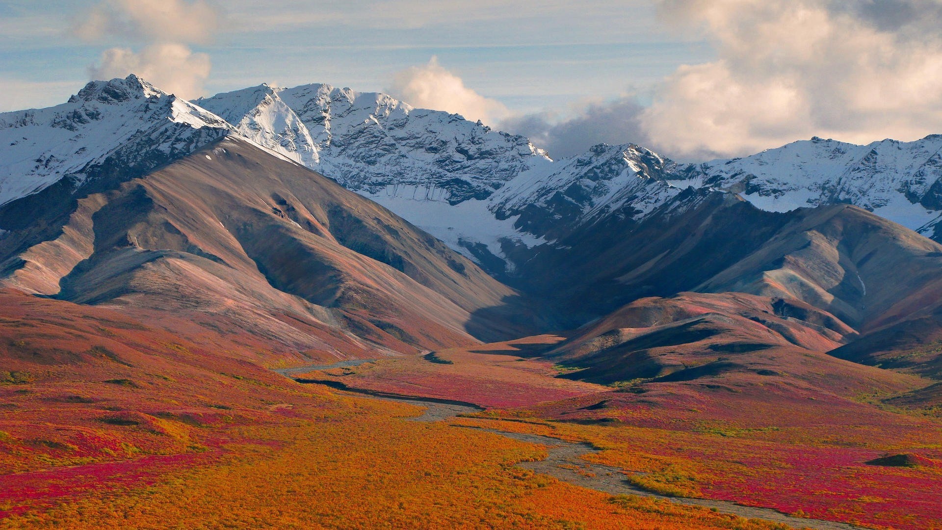 Denali National Park, Alaska, Tundra autunnale, Vette innevate, Nuvole, sfondo widescreen Full HD